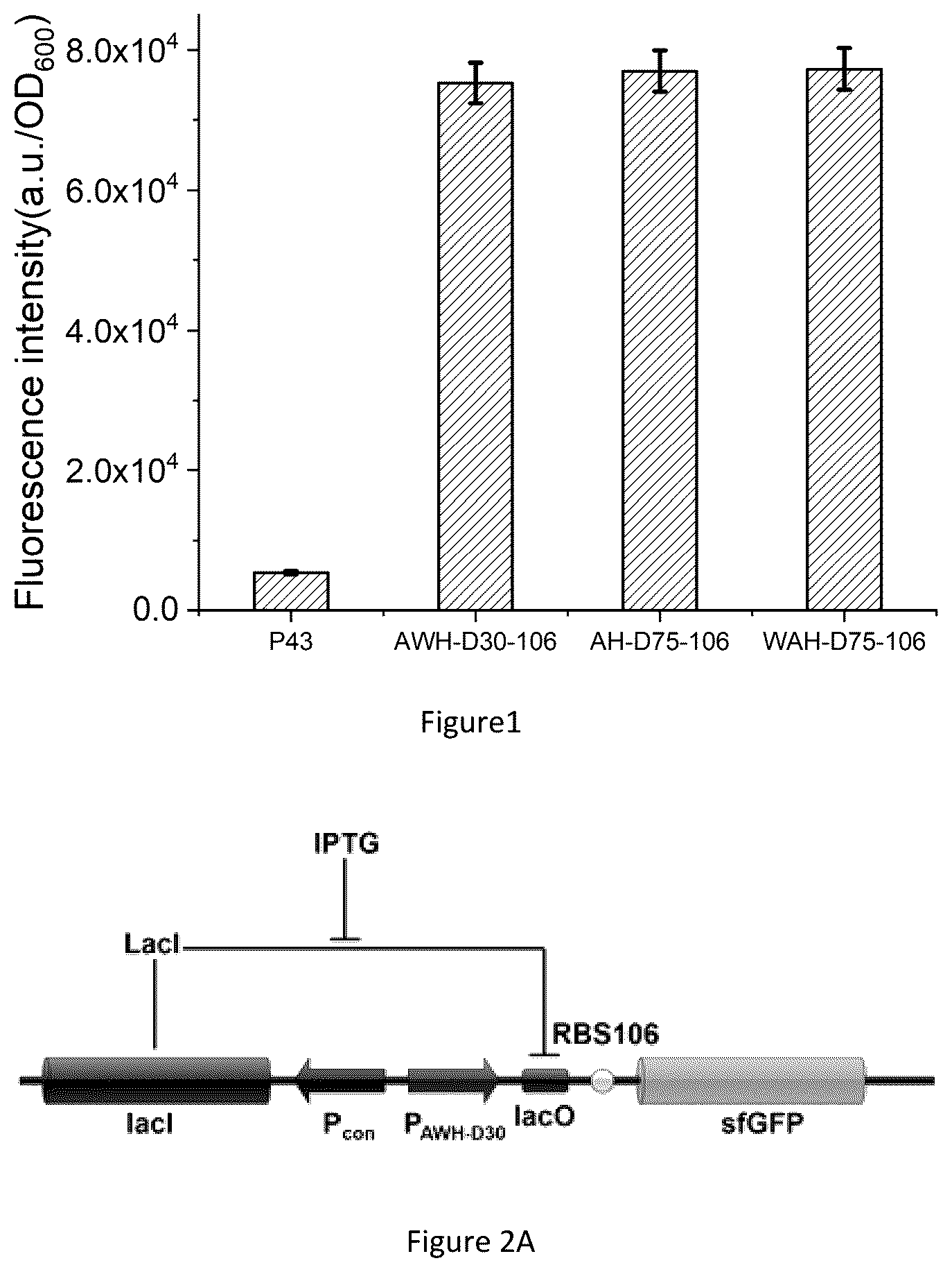 Patent US12098373 — Bacillus subtilis efficiently-induced expression system based on artificial series promoter — Figure 1