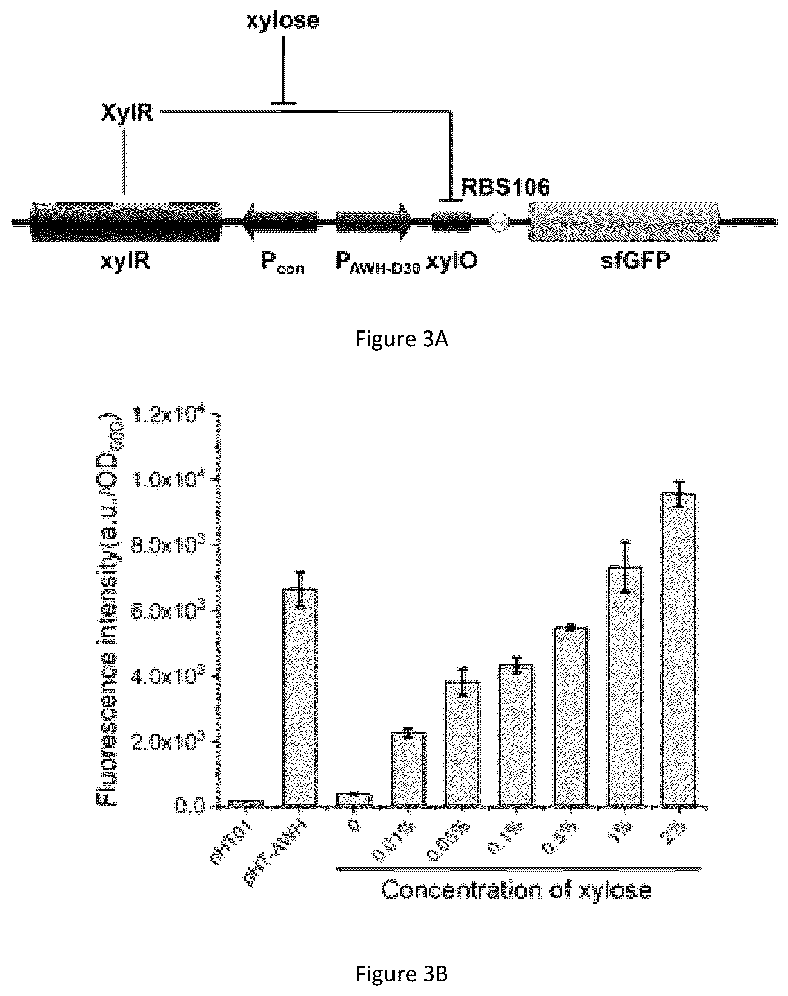 Patent US12098373 Figure 3 – Bacillus subtilis efficiently-induced expression system based on artificial series promoter