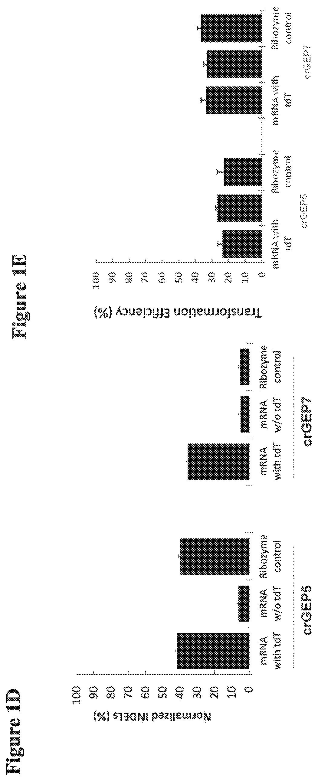 Patent US12098374 Figure 3 – Optimized plant CRISPR/CPF1 systems