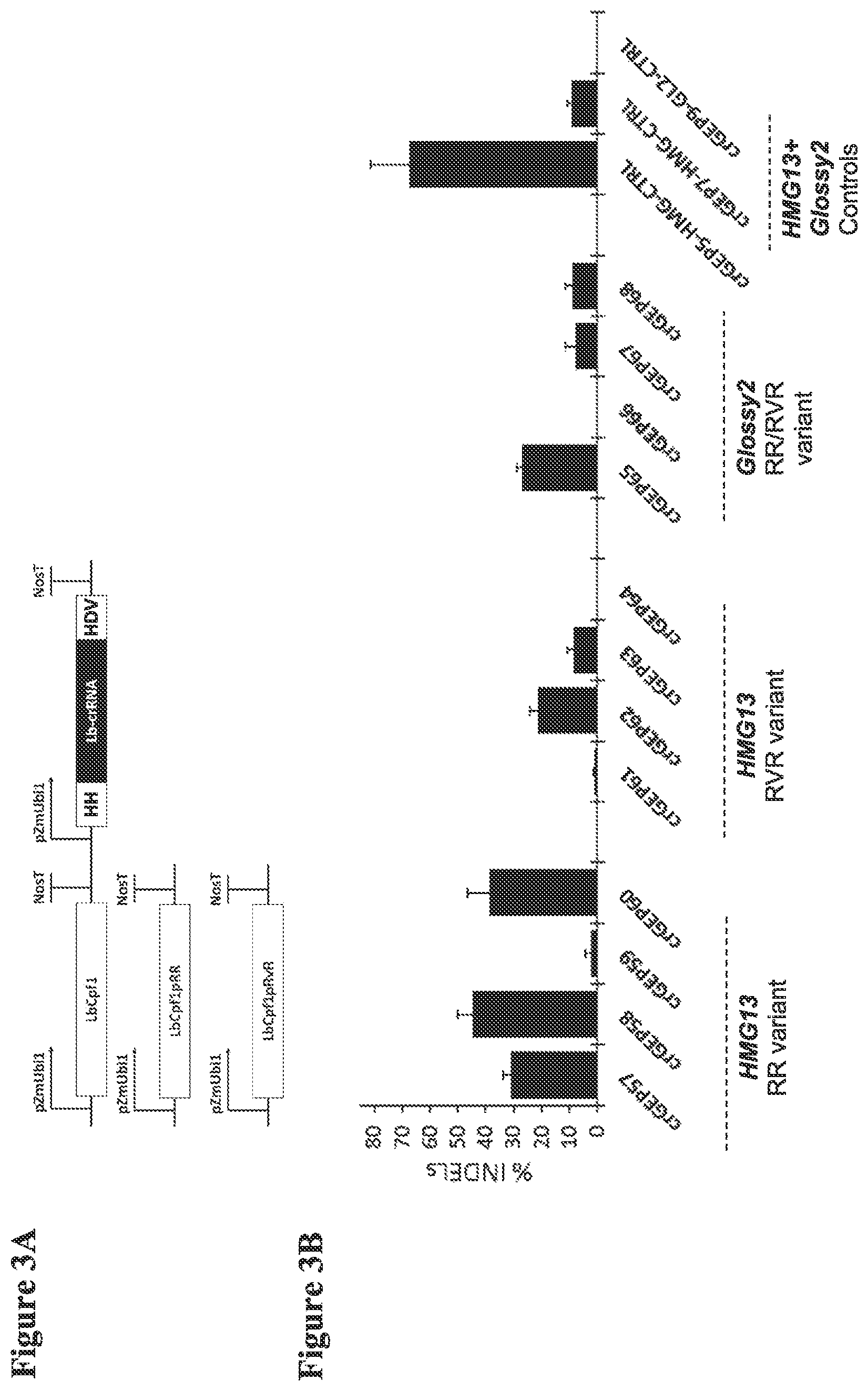 Patent US12098374 Figure 5 – Optimized plant CRISPR/CPF1 systems