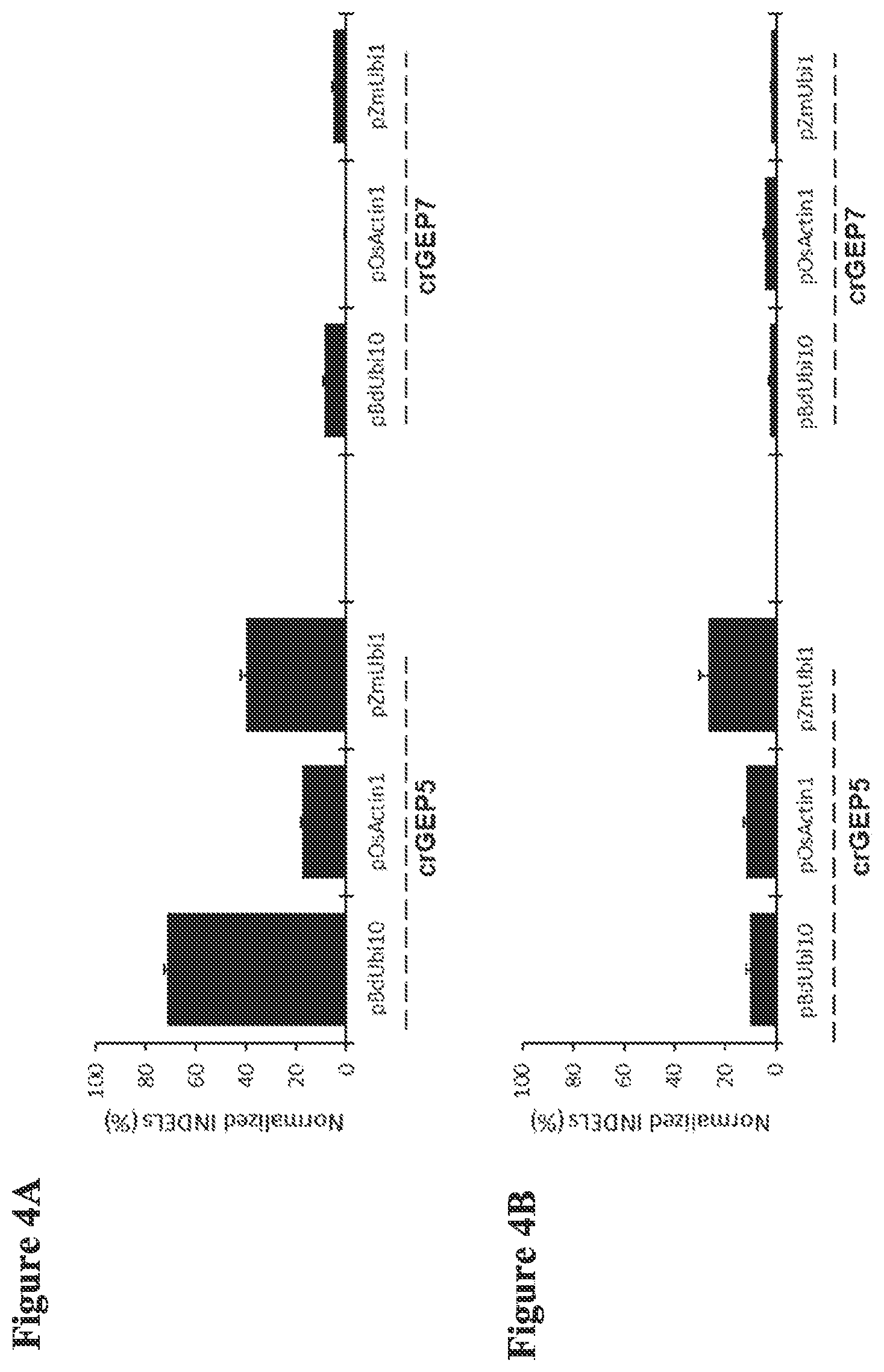 Patent US12098374 Figure 6 – Optimized plant CRISPR/CPF1 systems