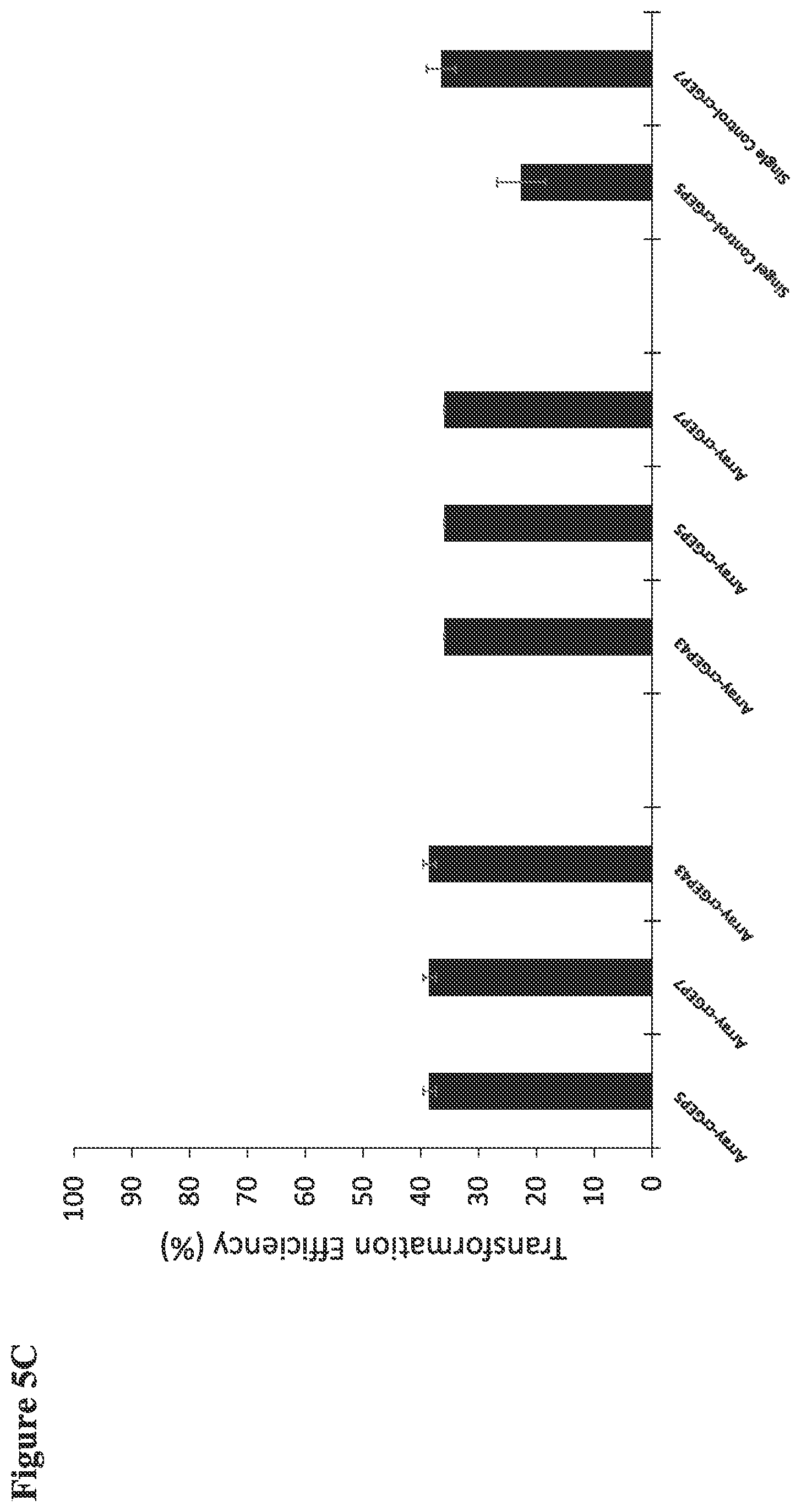 Patent US12098374 Figure 8 – Optimized plant CRISPR/CPF1 systems
