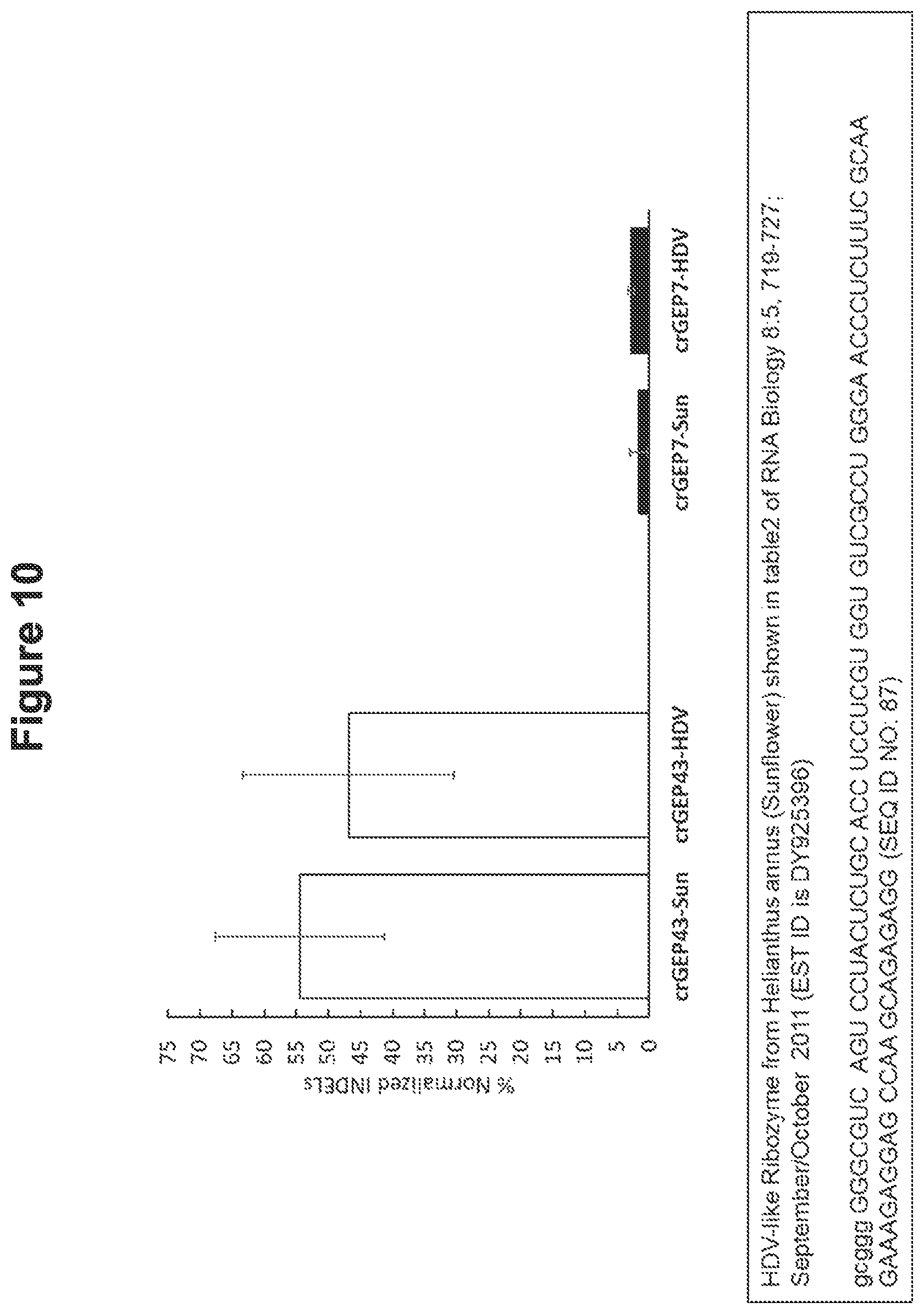 Patent US12098374 Figure 14 – Optimized plant CRISPR/CPF1 systems