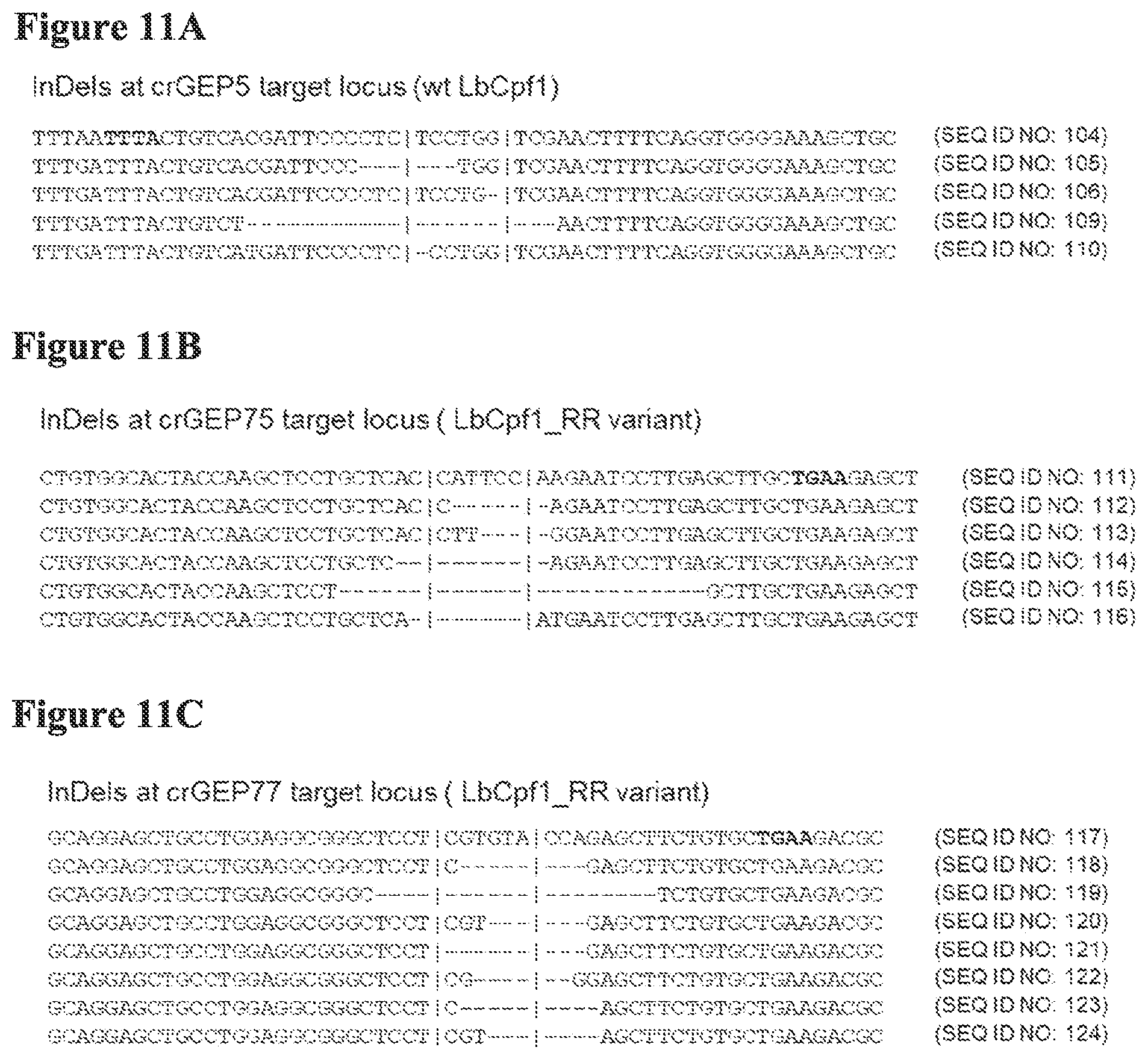 Patent US12098374 Figure 15 – Optimized plant CRISPR/CPF1 systems