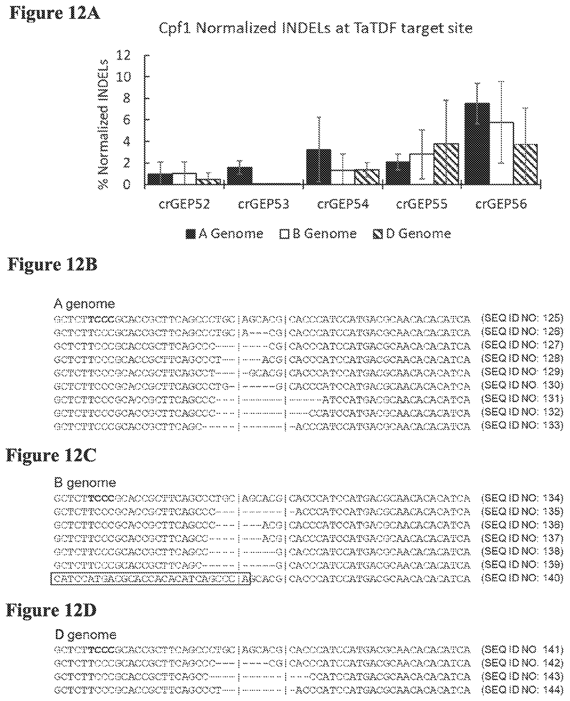 Patent US12098374 Figure 16 – Optimized plant CRISPR/CPF1 systems