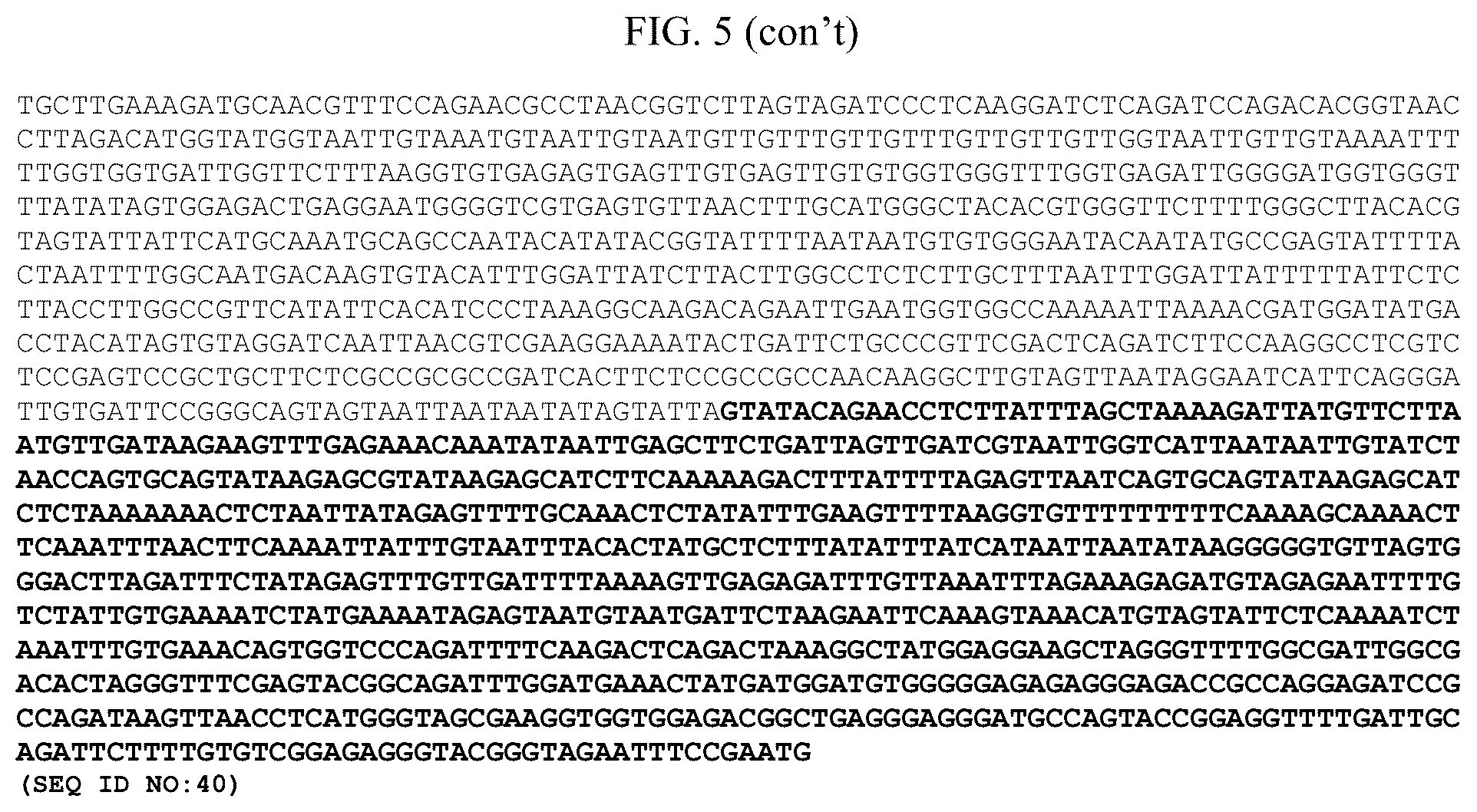 Patent US12098375 Figure 6 – Elite event canola NS-B50027-4