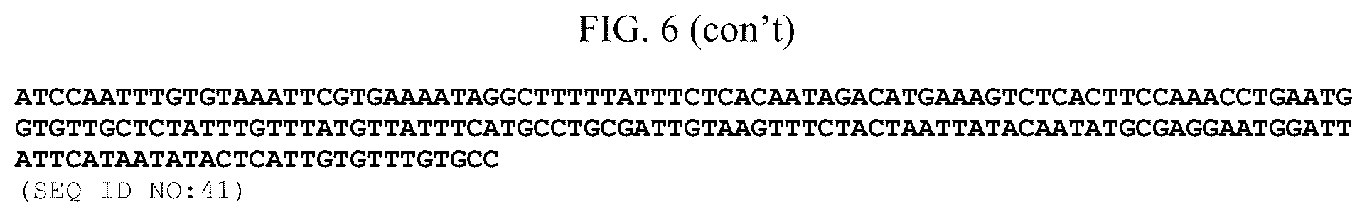 Patent US12098375 Figure 18 – Elite event canola NS-B50027-4