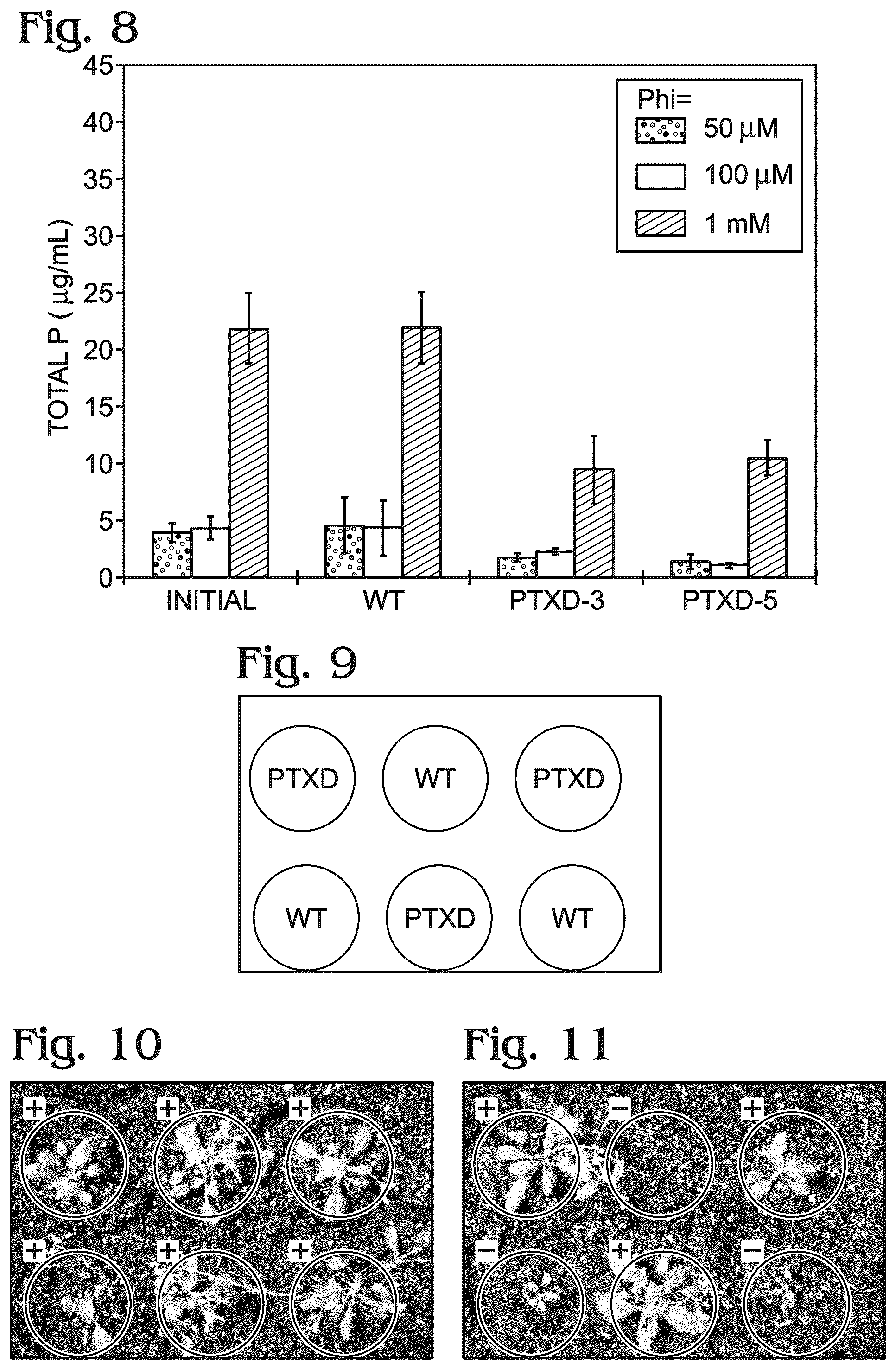 Patent US12098376 Figure 5 – Transgenic plants and fungi capable of metabolizing phosphite as a source of phosphorus