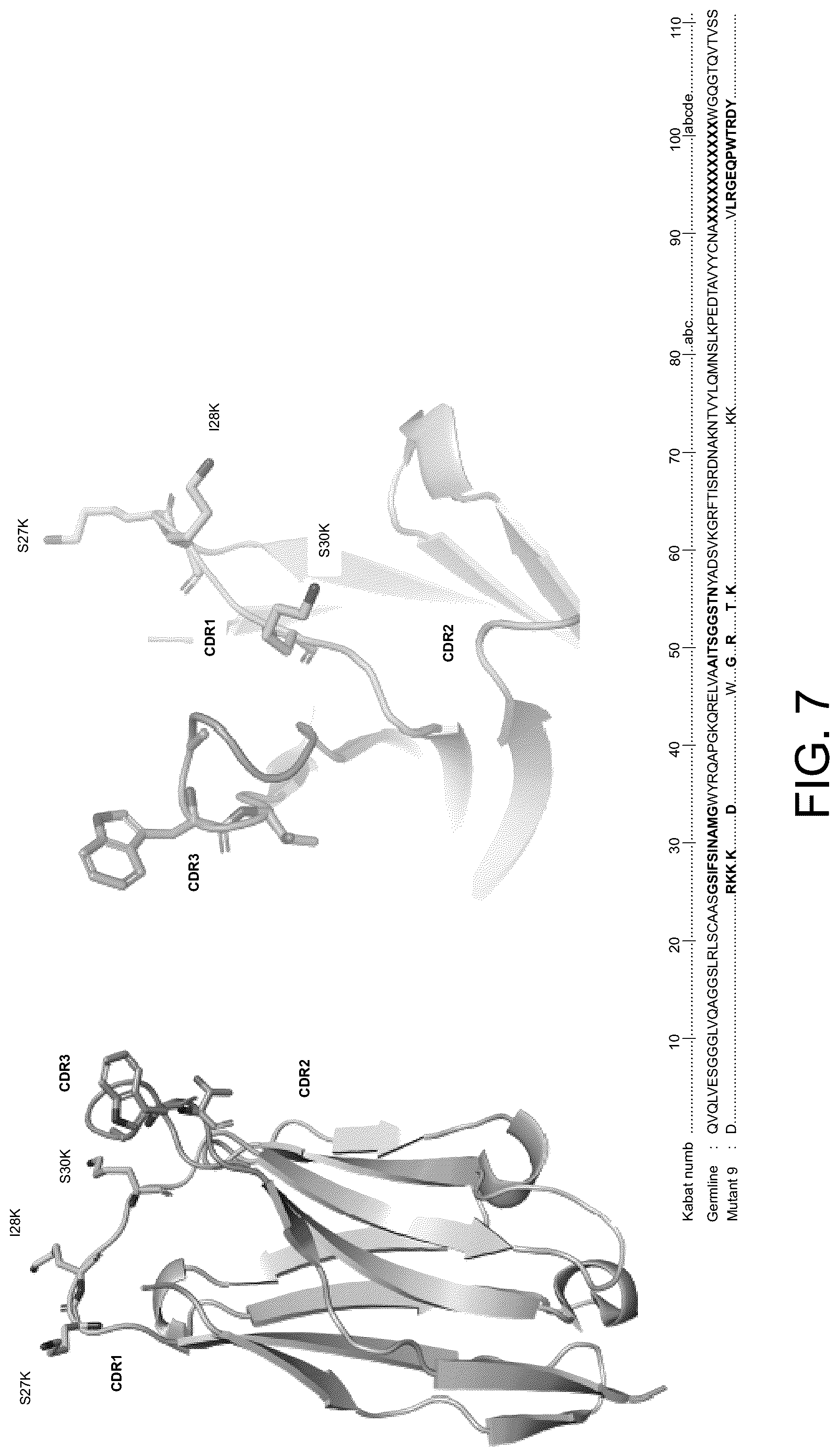 Patent US12098378 Figure 7 – Anti-fungal polypeptides
