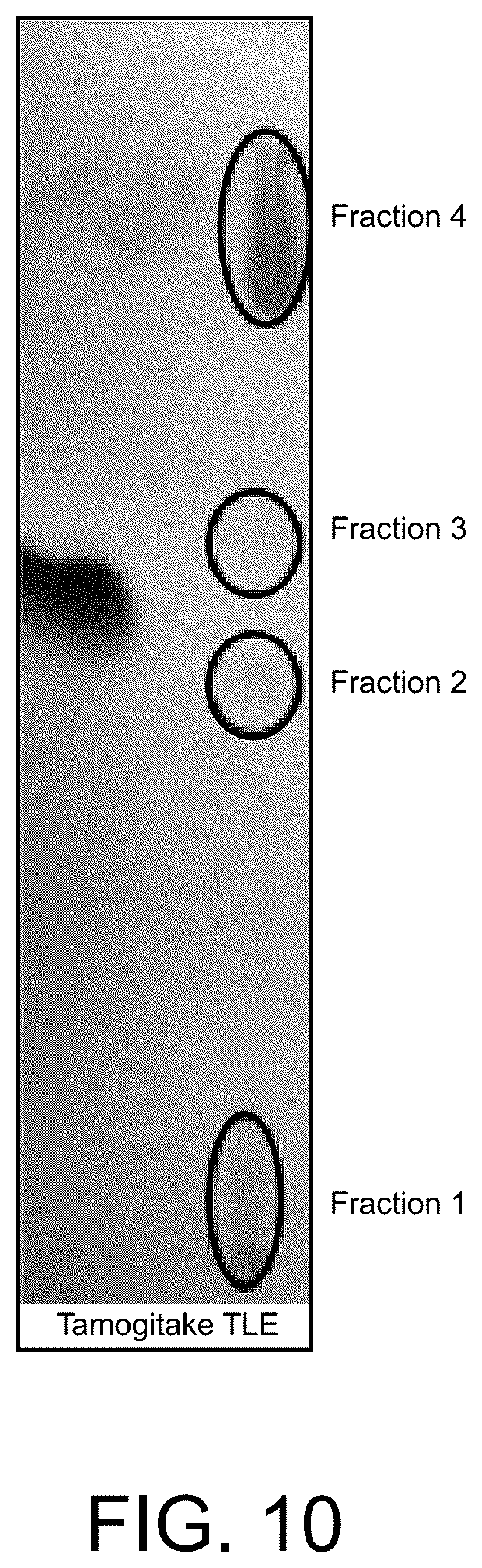 Patent US12098378 Figure 10 – Anti-fungal polypeptides