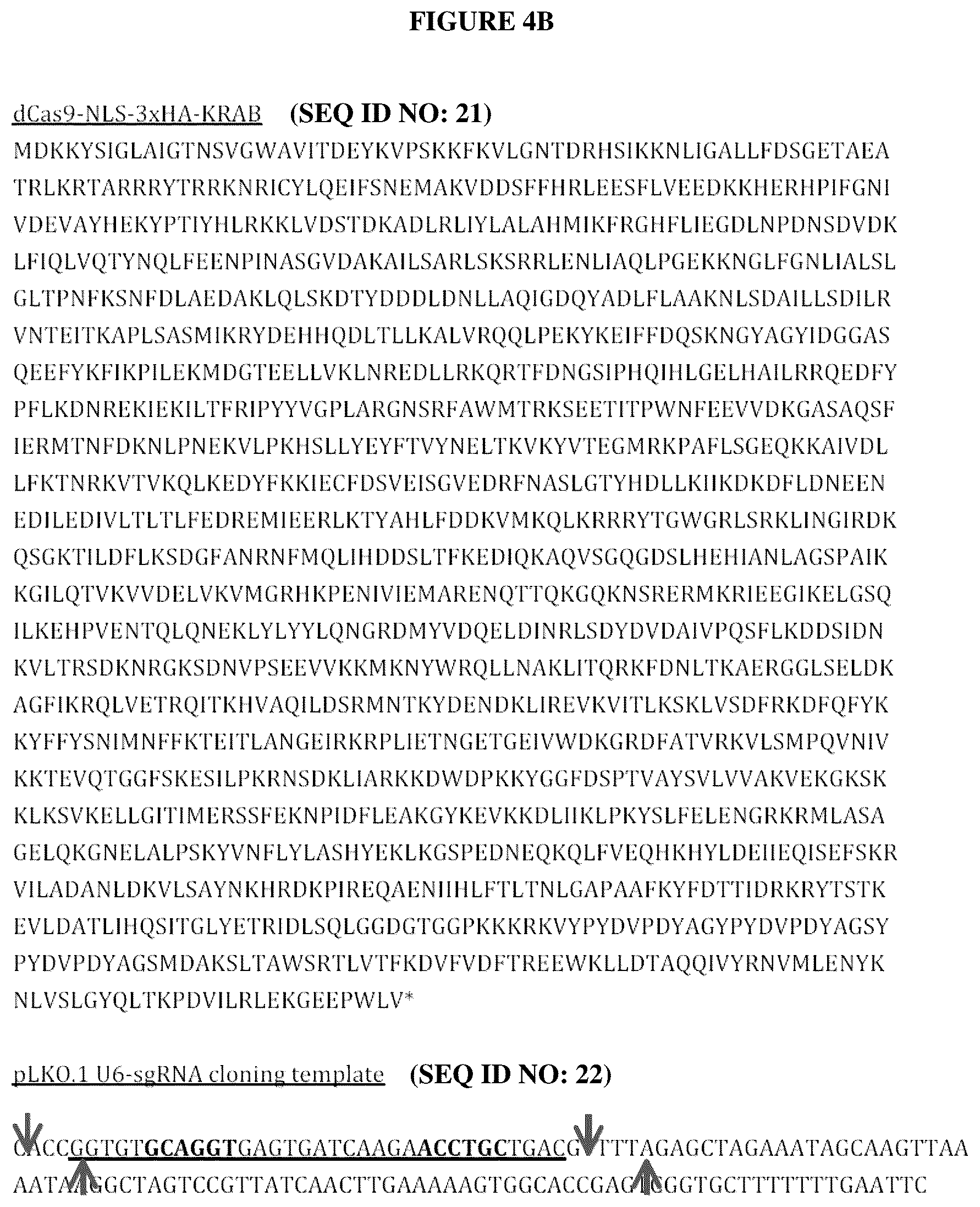 Patent US12098381 Figure 5 – Compositions and methods for differential Cas9 gene labeling and/or editing