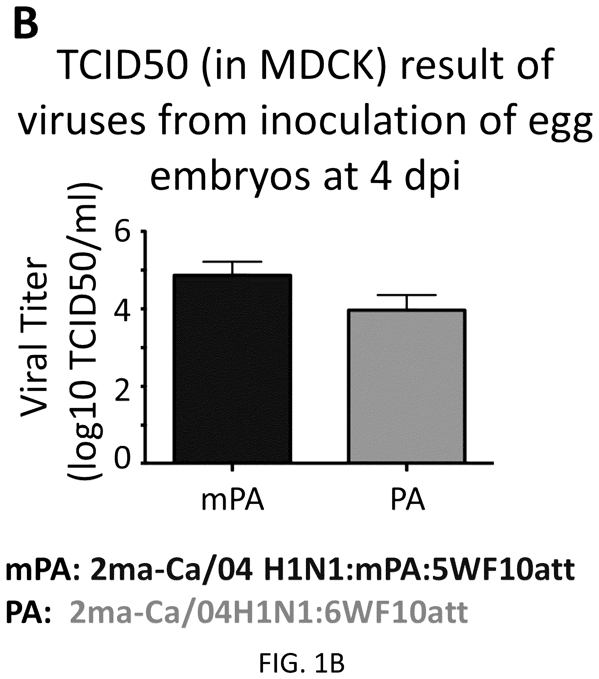 Patent US12098382 Figure 2 – Recombinant influenza viruses and constructs and uses thereof