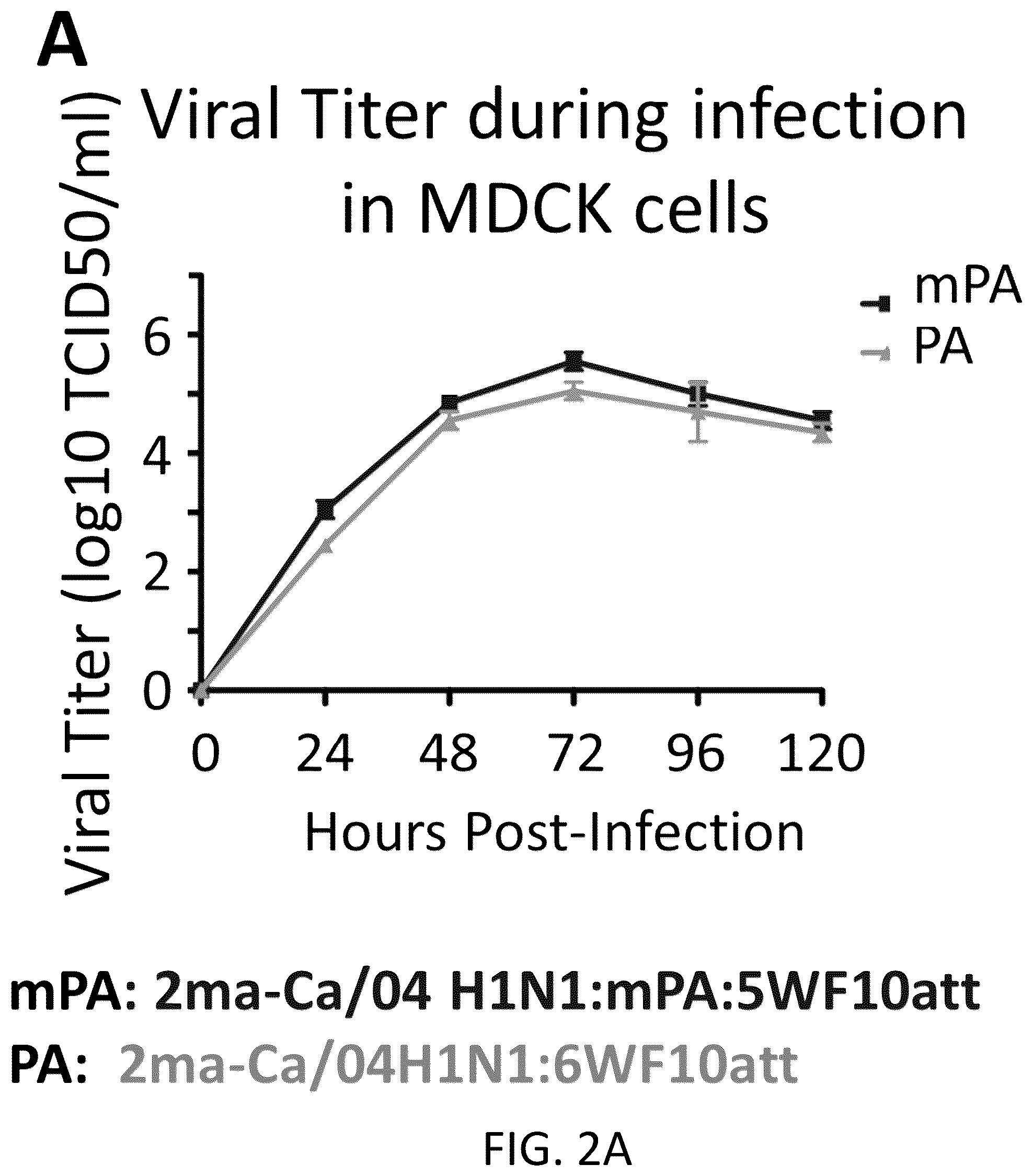 Patent US12098382 Figure 3 – Recombinant influenza viruses and constructs and uses thereof