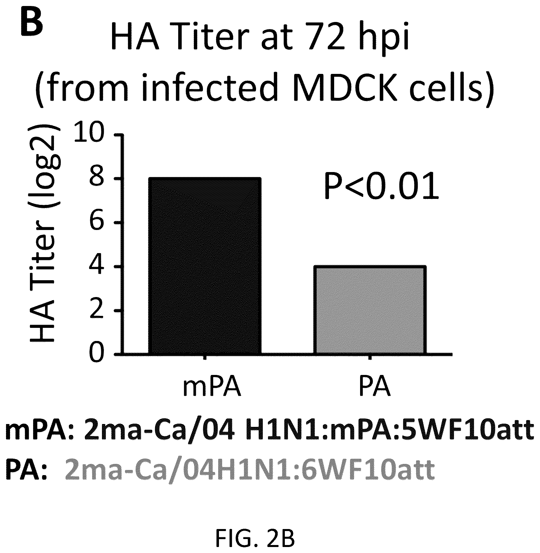 Patent US12098382 Figure 4 – Recombinant influenza viruses and constructs and uses thereof