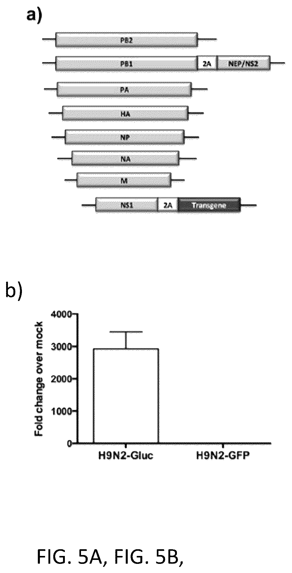 Patent US12098382 Figure 11 – Recombinant influenza viruses and constructs and uses thereof