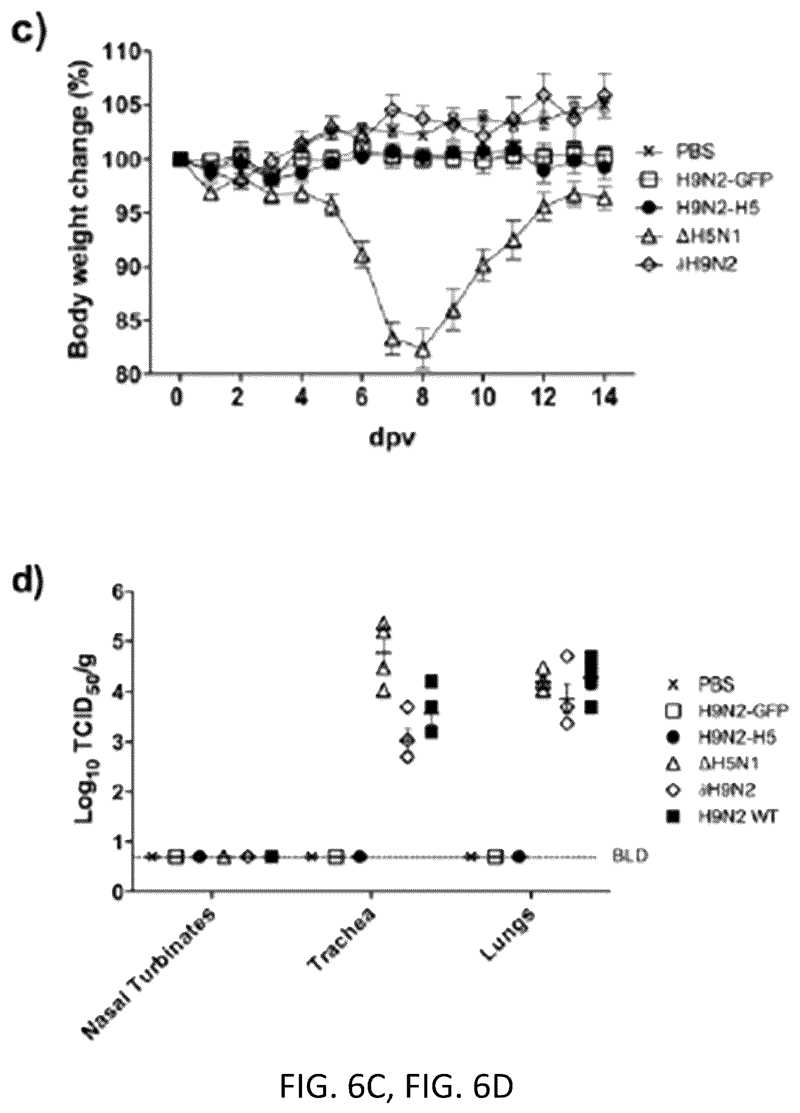 Patent US12098382 Figure 13 – Recombinant influenza viruses and constructs and uses thereof