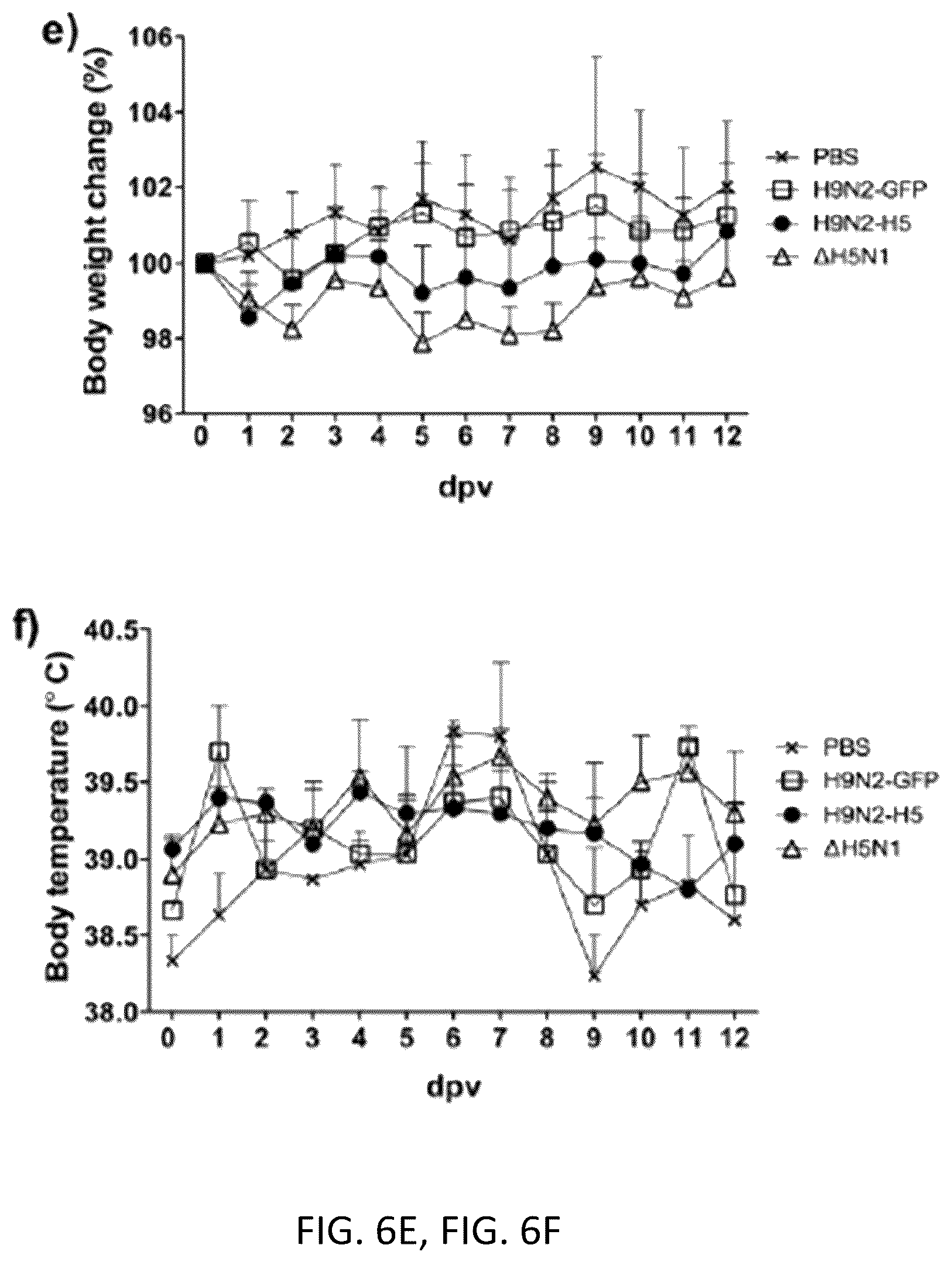 Patent US12098382 Figure 14 – Recombinant influenza viruses and constructs and uses thereof