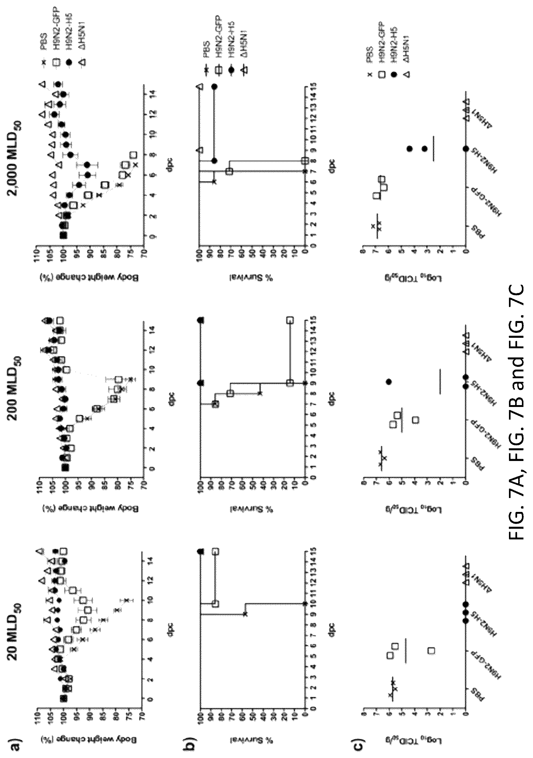 Patent US12098382 Figure 15 – Recombinant influenza viruses and constructs and uses thereof