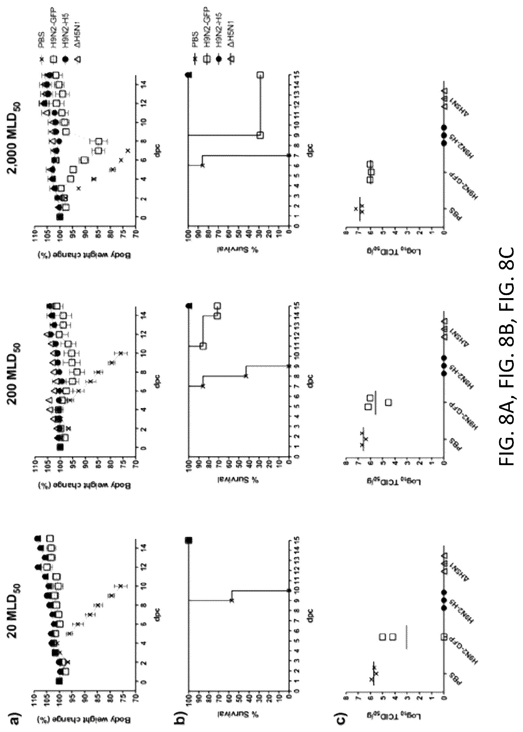 Patent US12098382 Figure 16 – Recombinant influenza viruses and constructs and uses thereof
