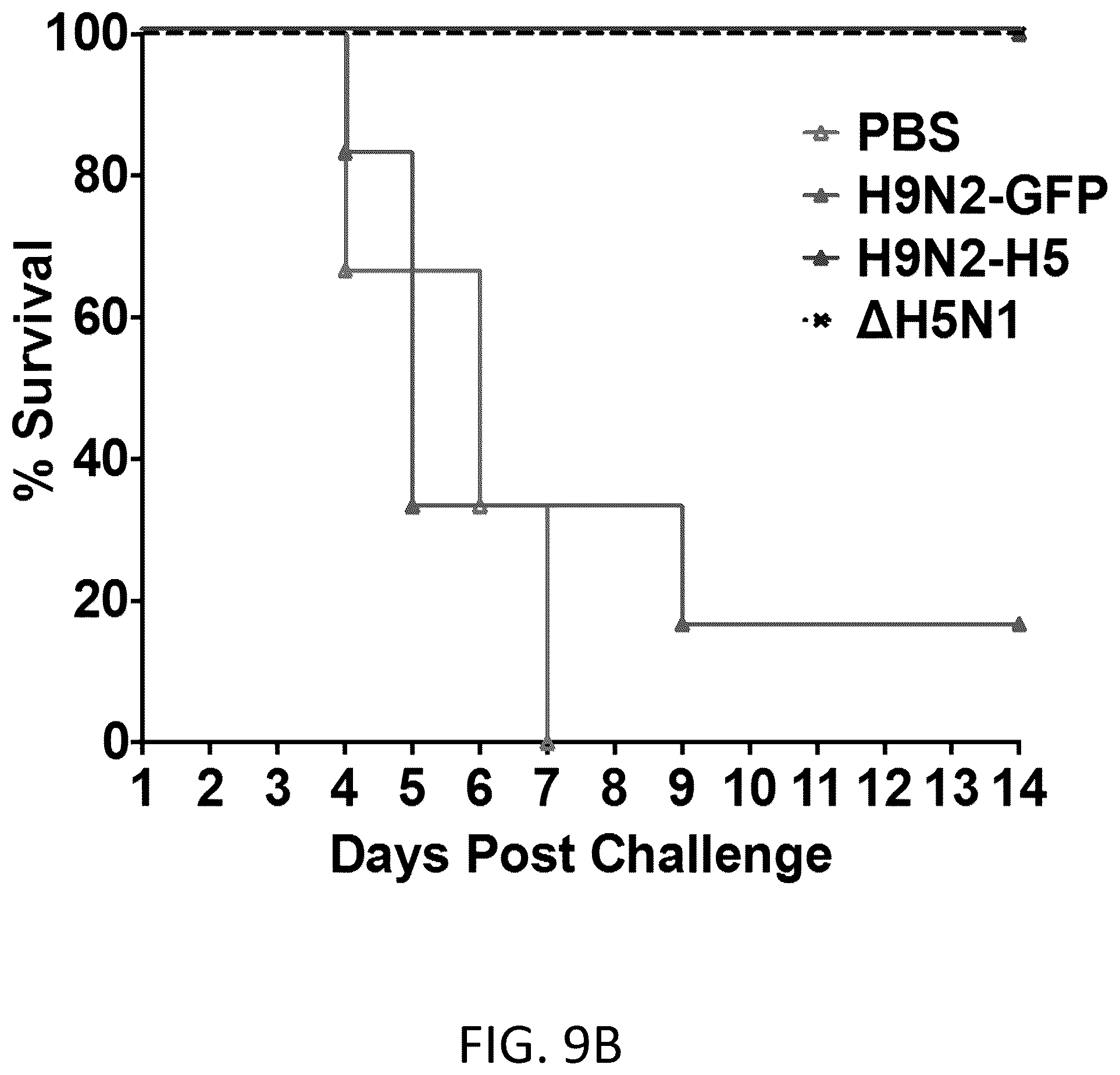 Patent US12098382 Figure 18 – Recombinant influenza viruses and constructs and uses thereof