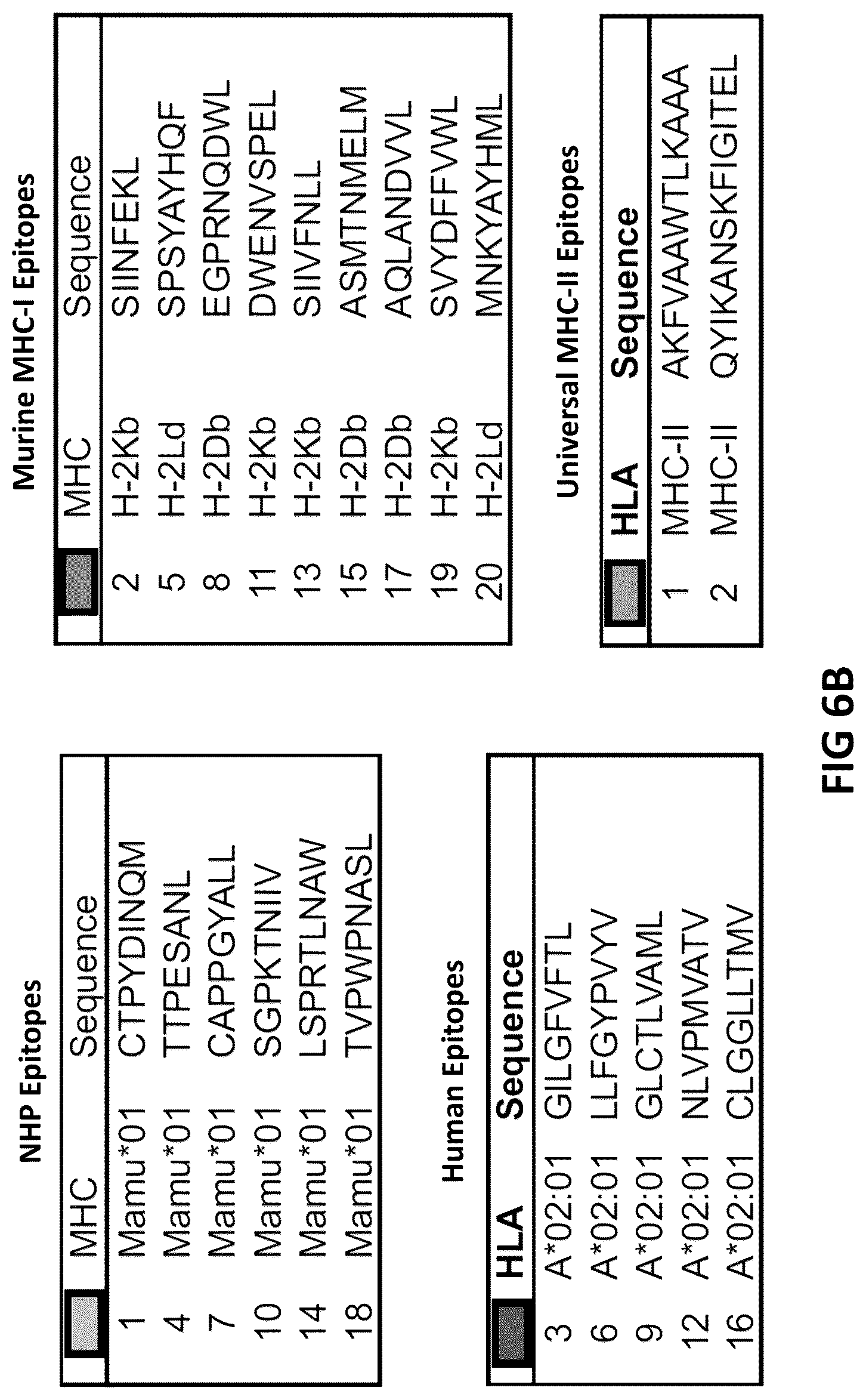Patent US12098383 Figure 8 – Modified adenoviruses