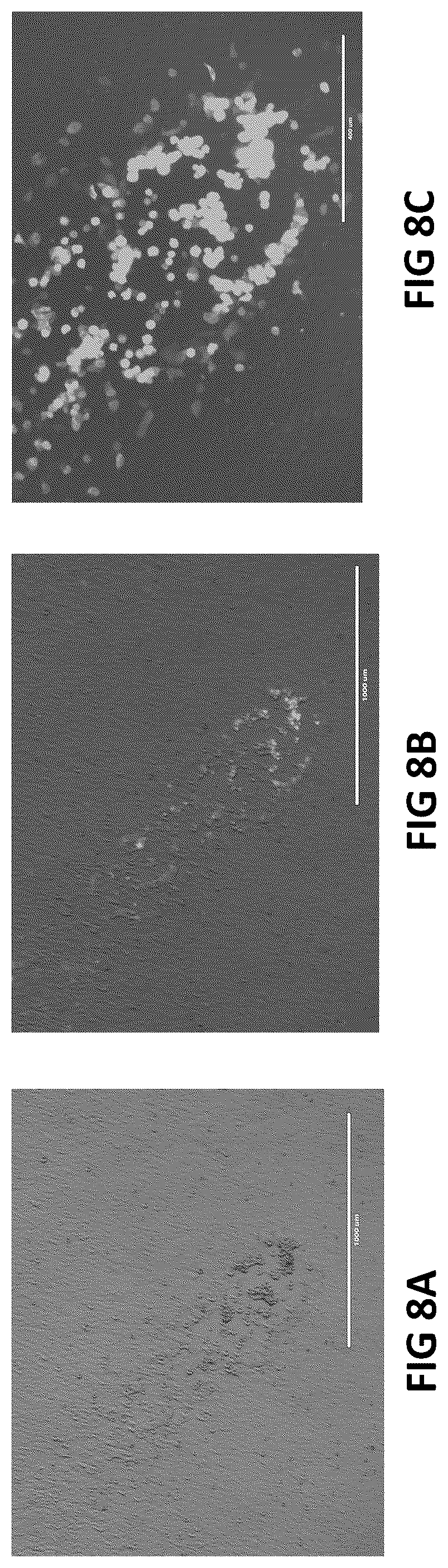 Patent US12098383 Figure 10 – Modified adenoviruses
