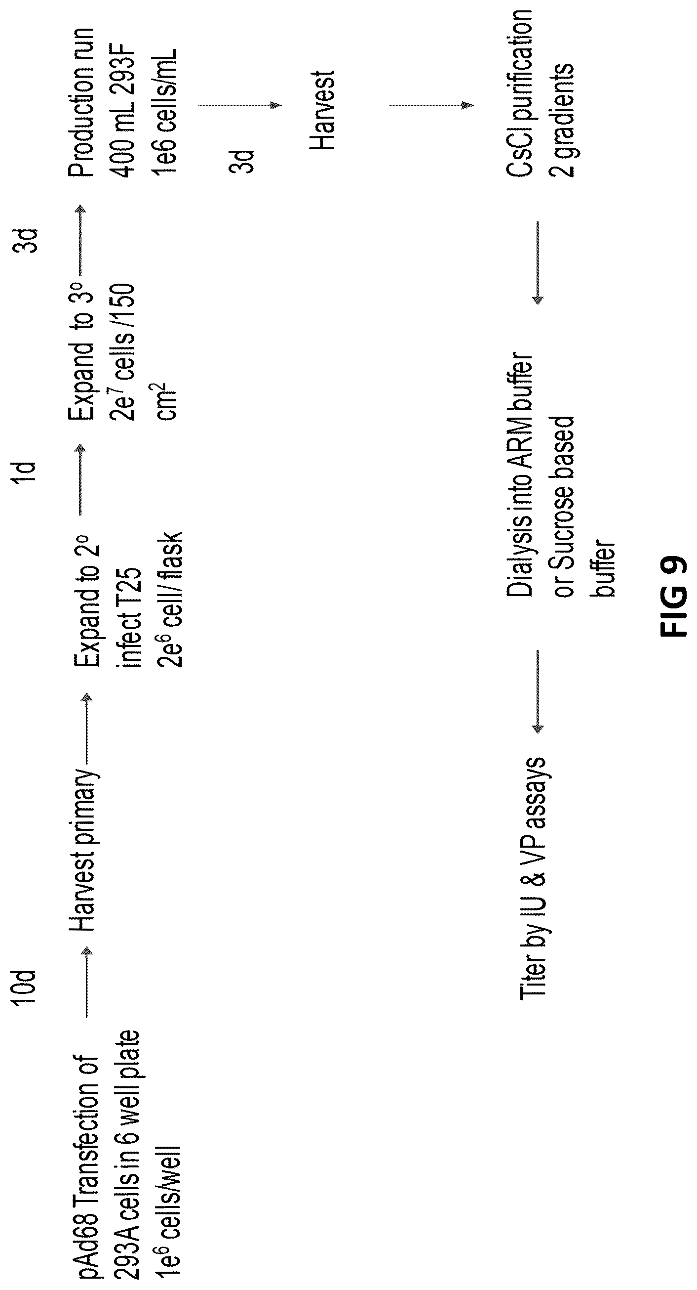 Patent US12098383 Figure 11 – Modified adenoviruses