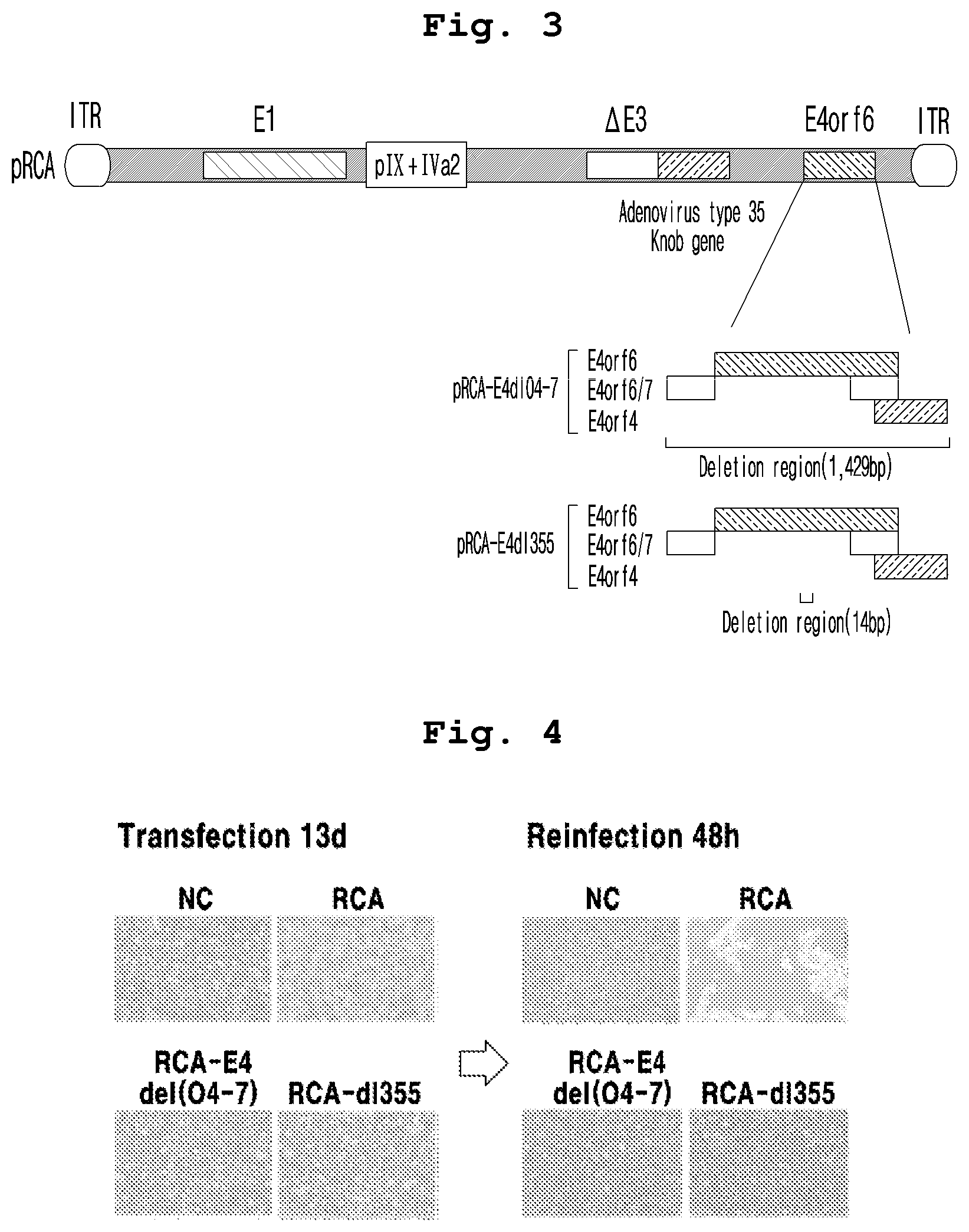 Patent US12098384 Figure 2 – Adenoviral vector not including replication competent adenovirus, and use thereof