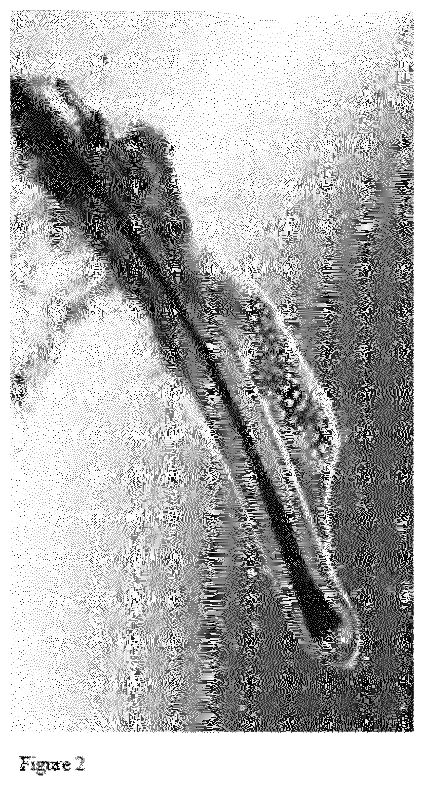 Patent US12098386 Figure 2 – Use of germ cells for preparing a micro hair follicle