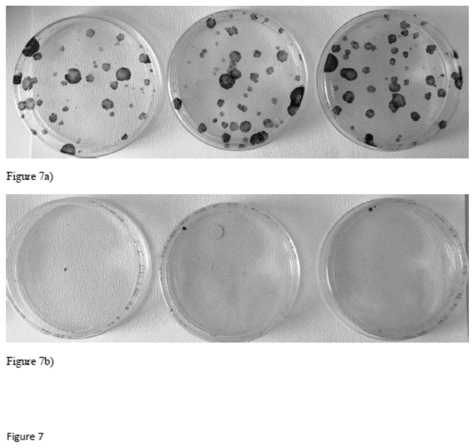 Patent US12098386 Figure 7 – Use of germ cells for preparing a micro hair follicle