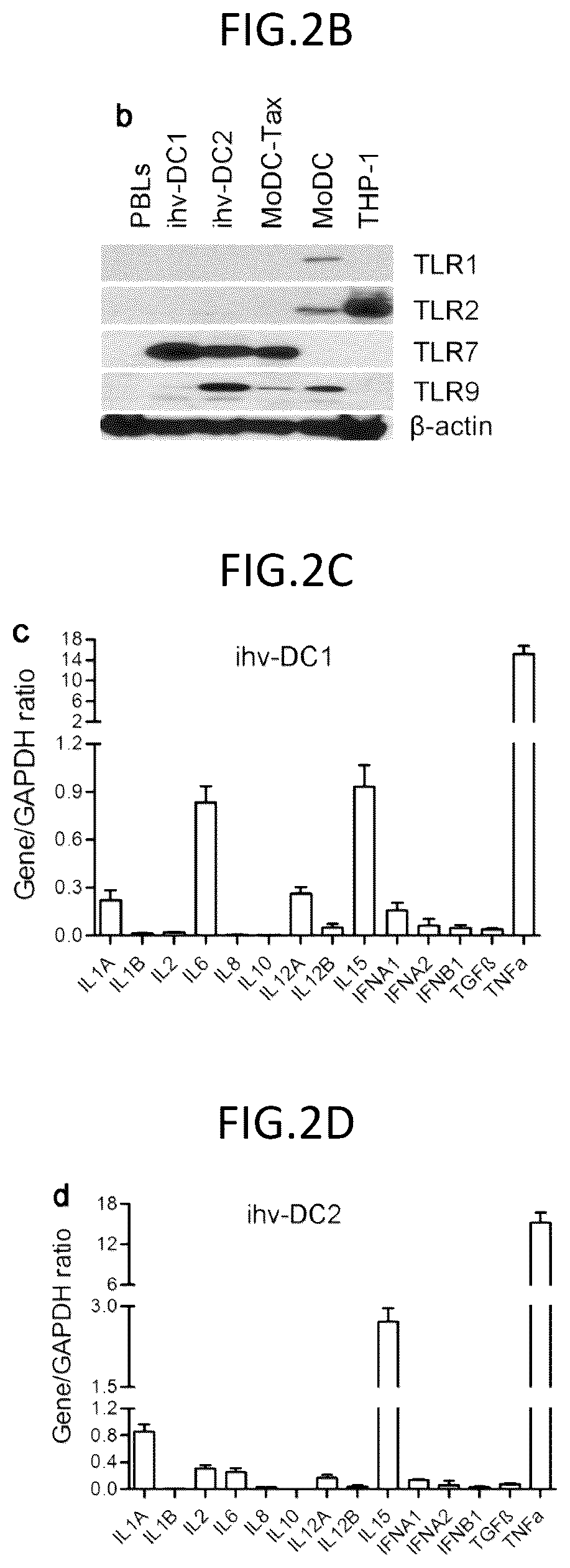 Patent US12098387 Figure 8 – Methods for generating engineered human primary blood dendritic cell lines