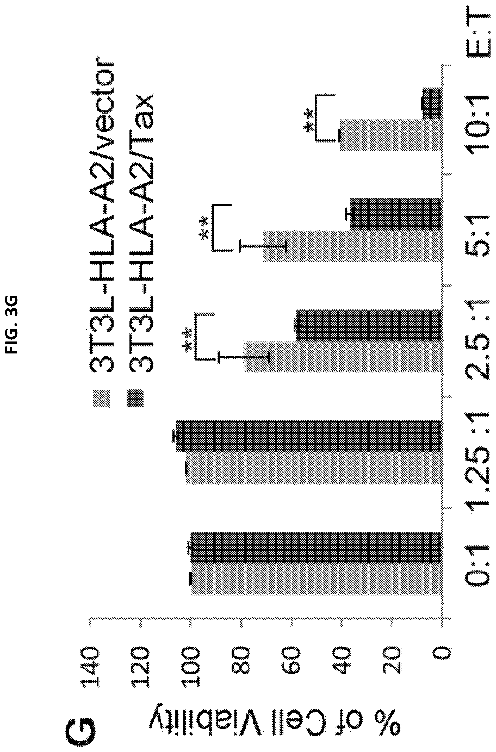 Patent US12098387 Figure 16 – Methods for generating engineered human primary blood dendritic cell lines