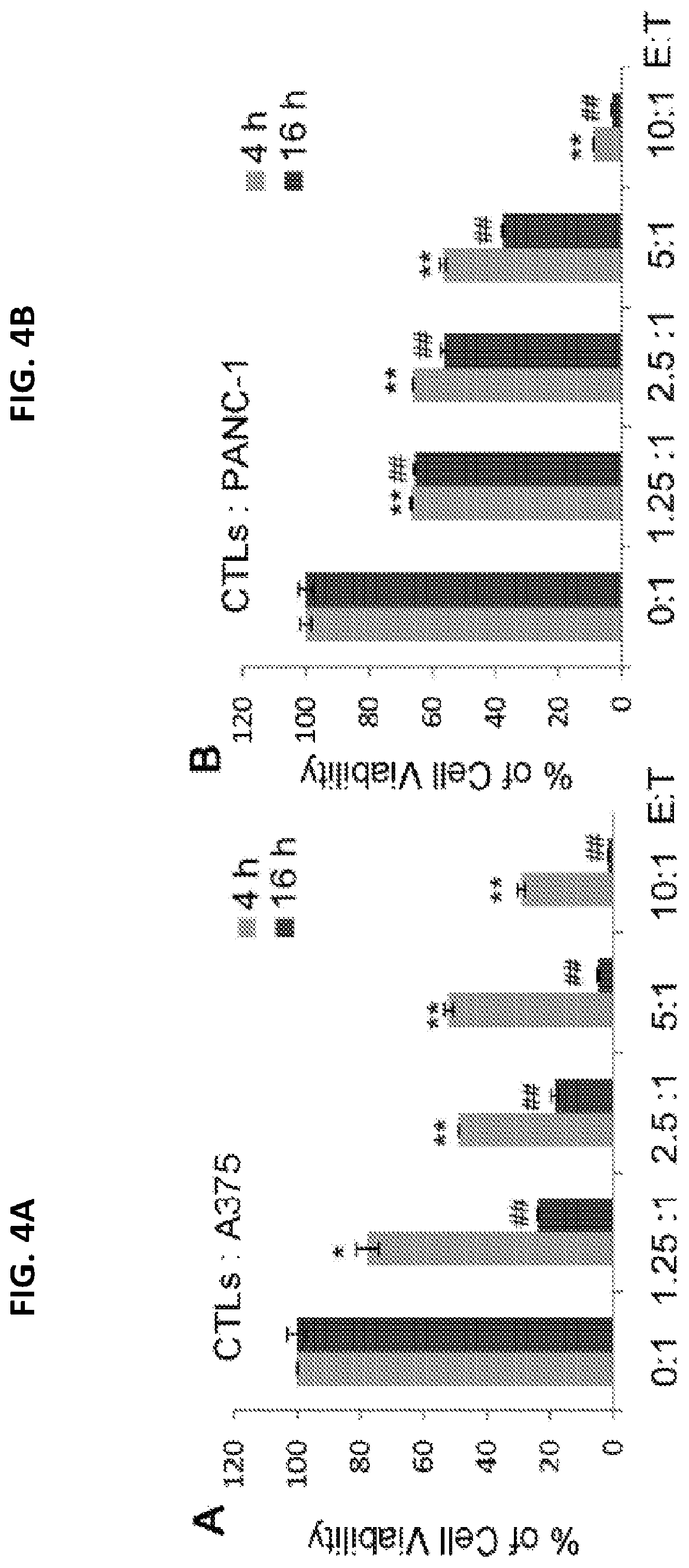 Patent US12098387 Figure 18 – Methods for generating engineered human primary blood dendritic cell lines