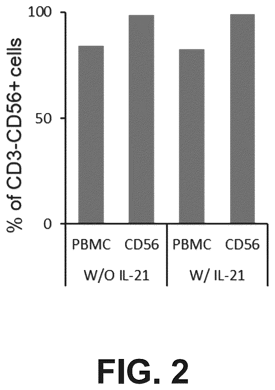 Patent US12098388 Figure 3 – Method of producing natural killer cells and composition for treating cancer