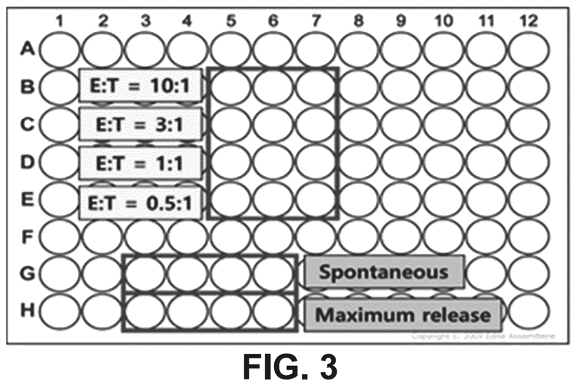 Patent US12098388 Figure 4 – Method of producing natural killer cells and composition for treating cancer