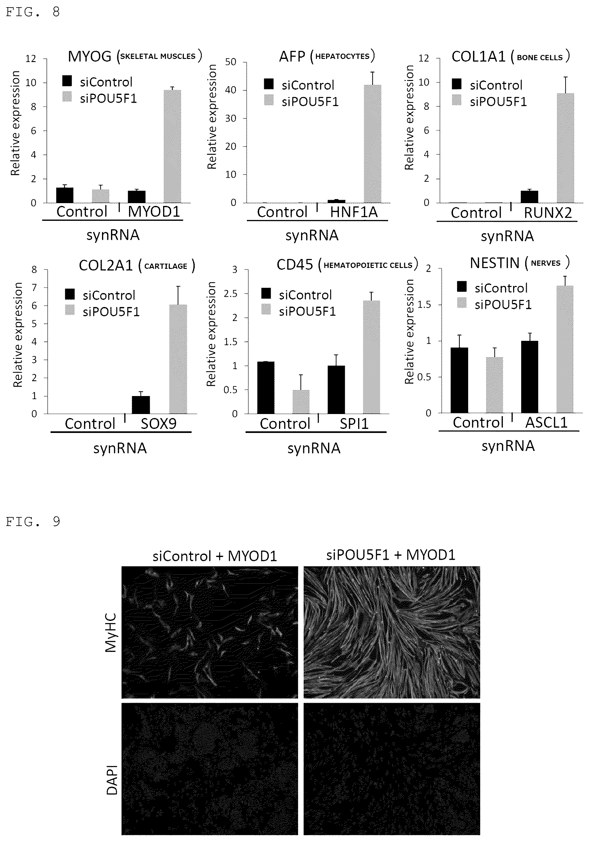Patent US12098389 Figure 6 – Method for promoting differentiation of pluripotent stem cells by reducing undifferentiated state thereof