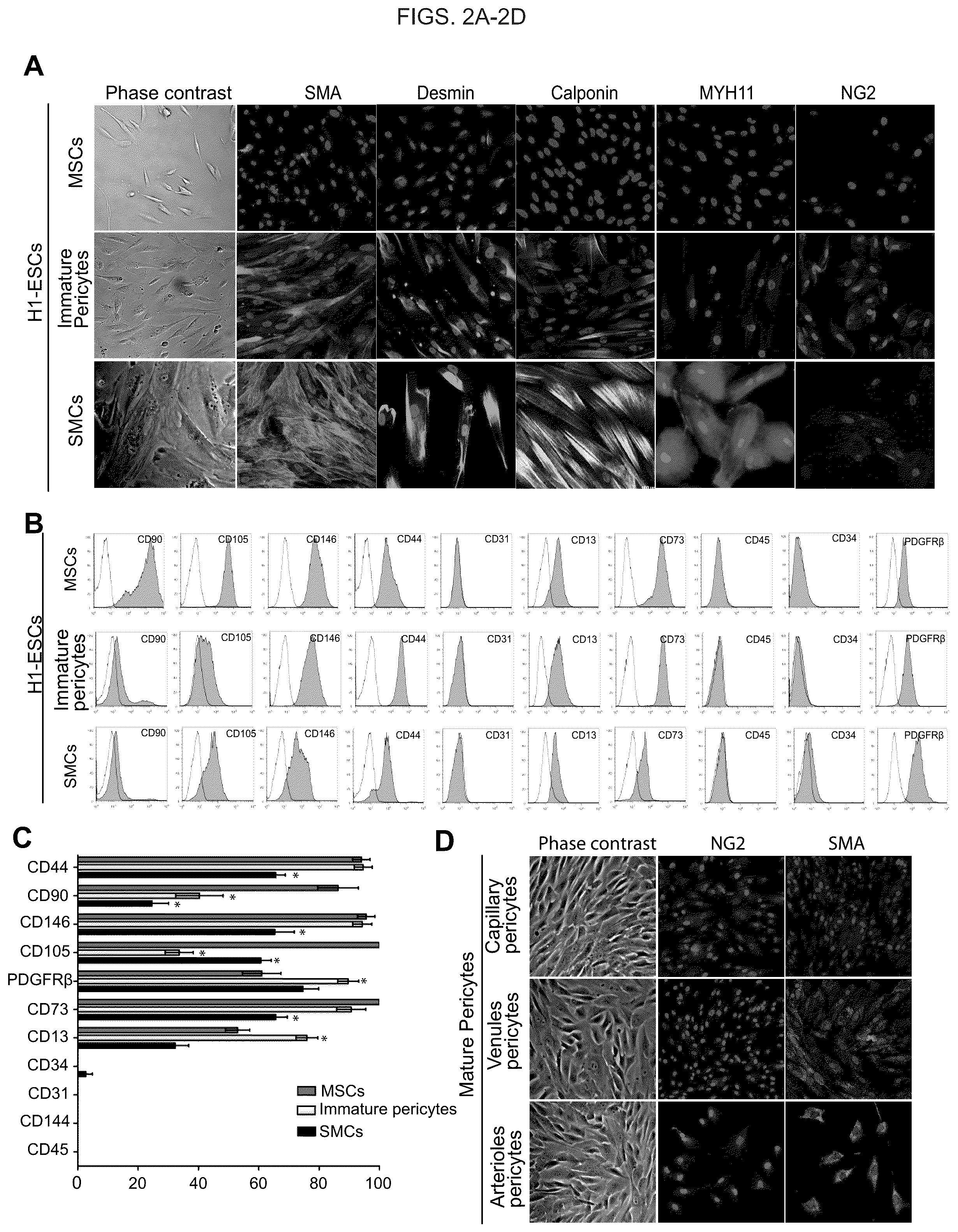 Patent US12098390 Figure 4 – Generating vasculogenic cell populations