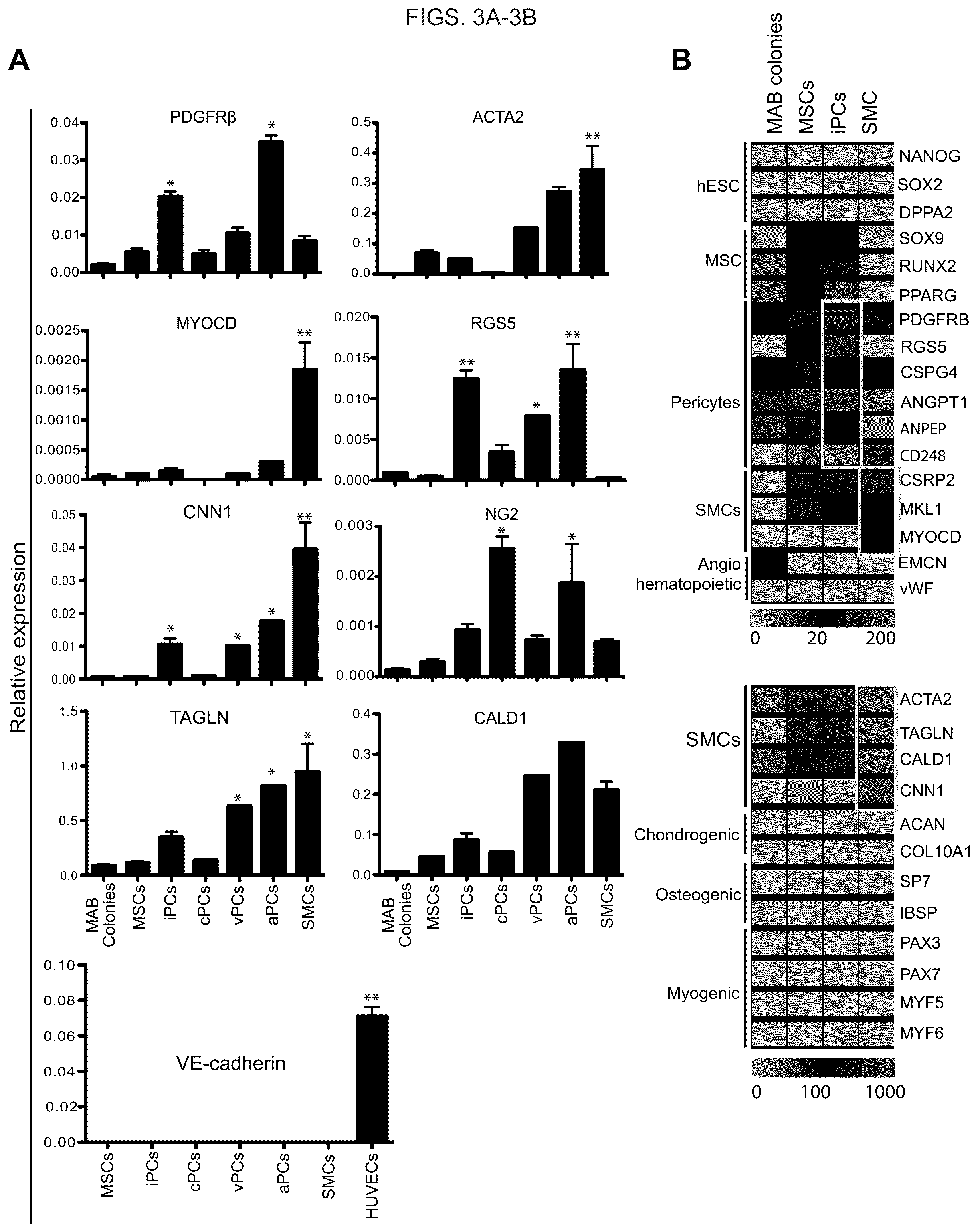 Patent US12098390 Figure 5 – Generating vasculogenic cell populations