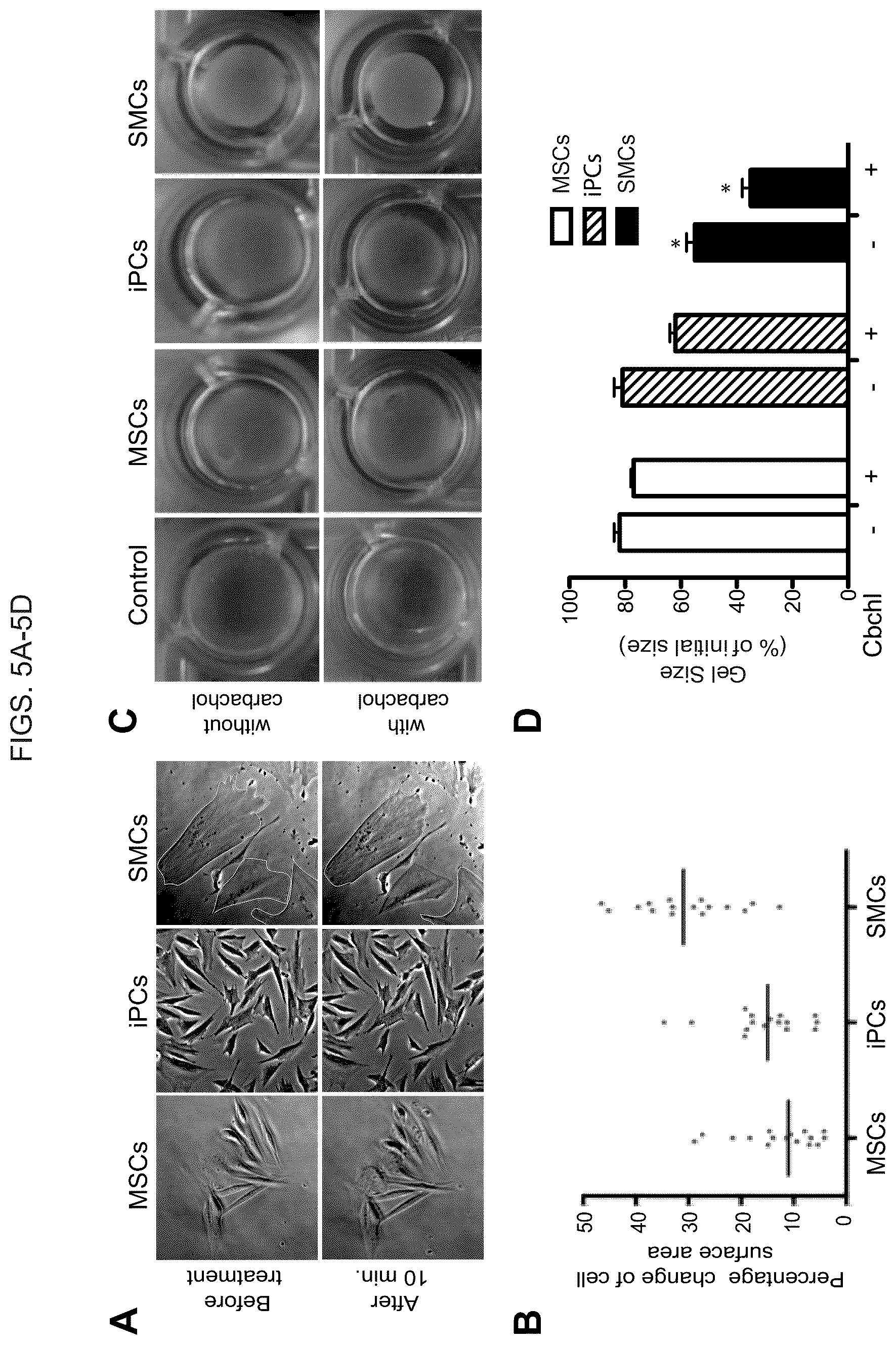 Patent US12098390 Figure 7 – Generating vasculogenic cell populations