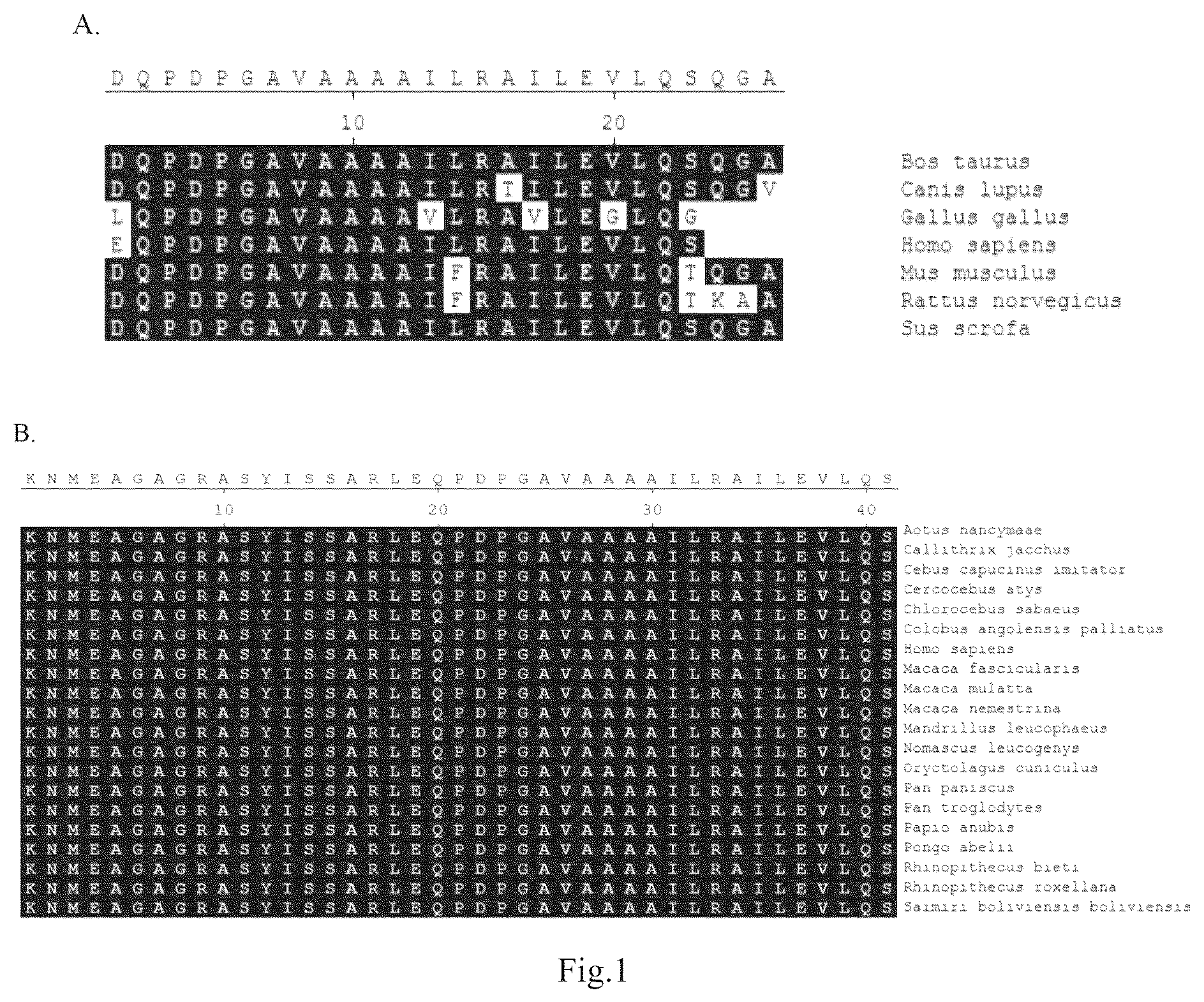 Patent US12098395 Figure 1 – Polypeptide with function of targeting recognition of immune cells and application thereof