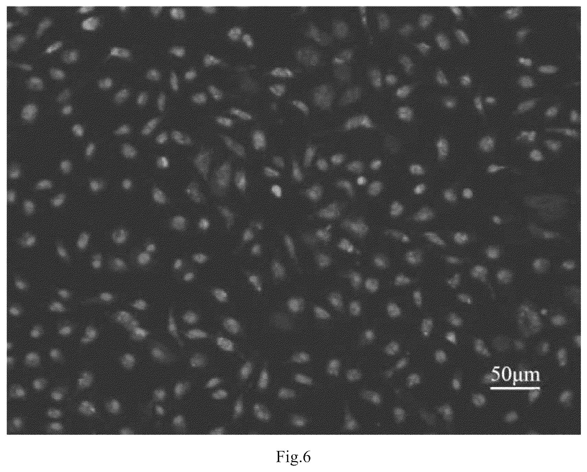 Patent US12098395 Figure 5 – Polypeptide with function of targeting recognition of immune cells and application thereof