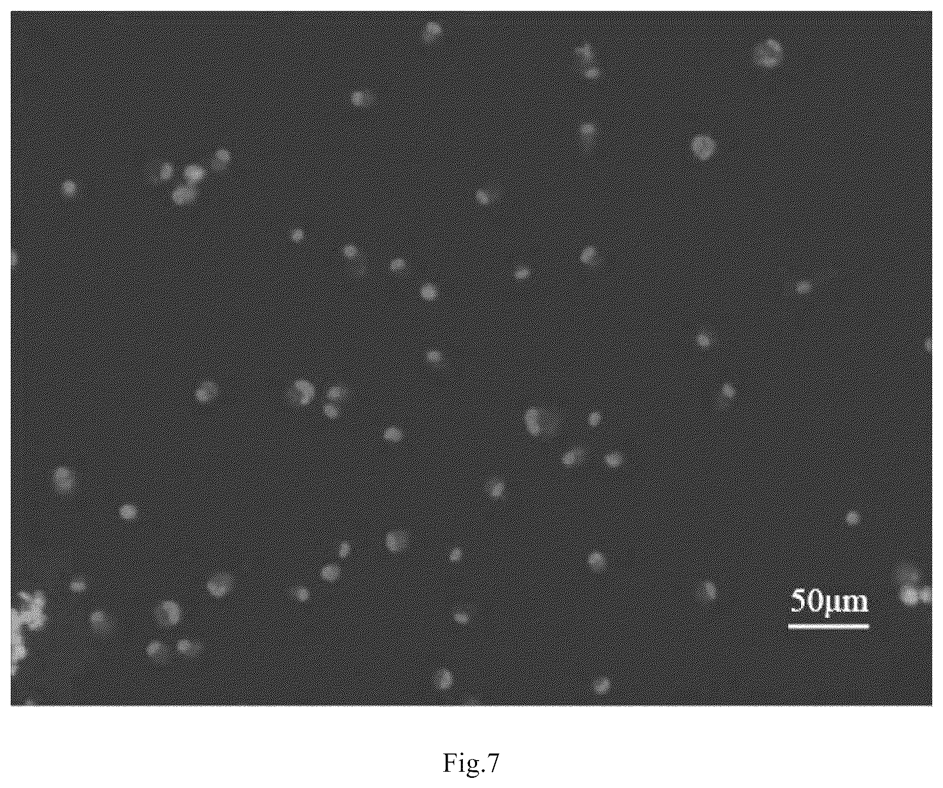 Patent US12098395 Figure 6 – Polypeptide with function of targeting recognition of immune cells and application thereof