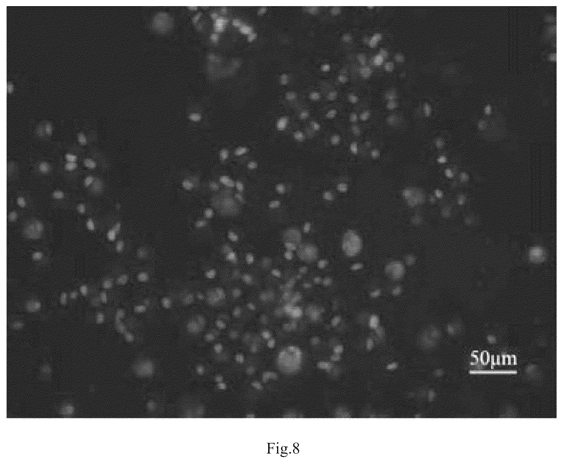 Patent US12098395 Figure 7 – Polypeptide with function of targeting recognition of immune cells and application thereof