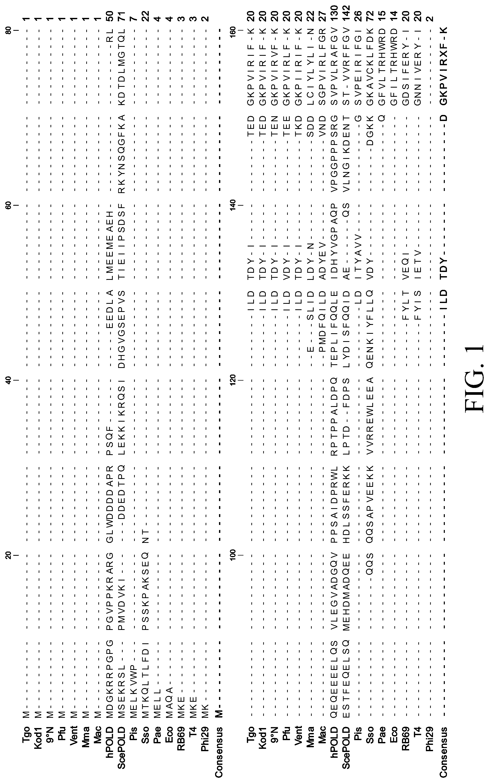 Patent US12098396 Figure 1 – Polymerase variants for template-independent enzymatic nucleic acids synthesis and kit comprising the same