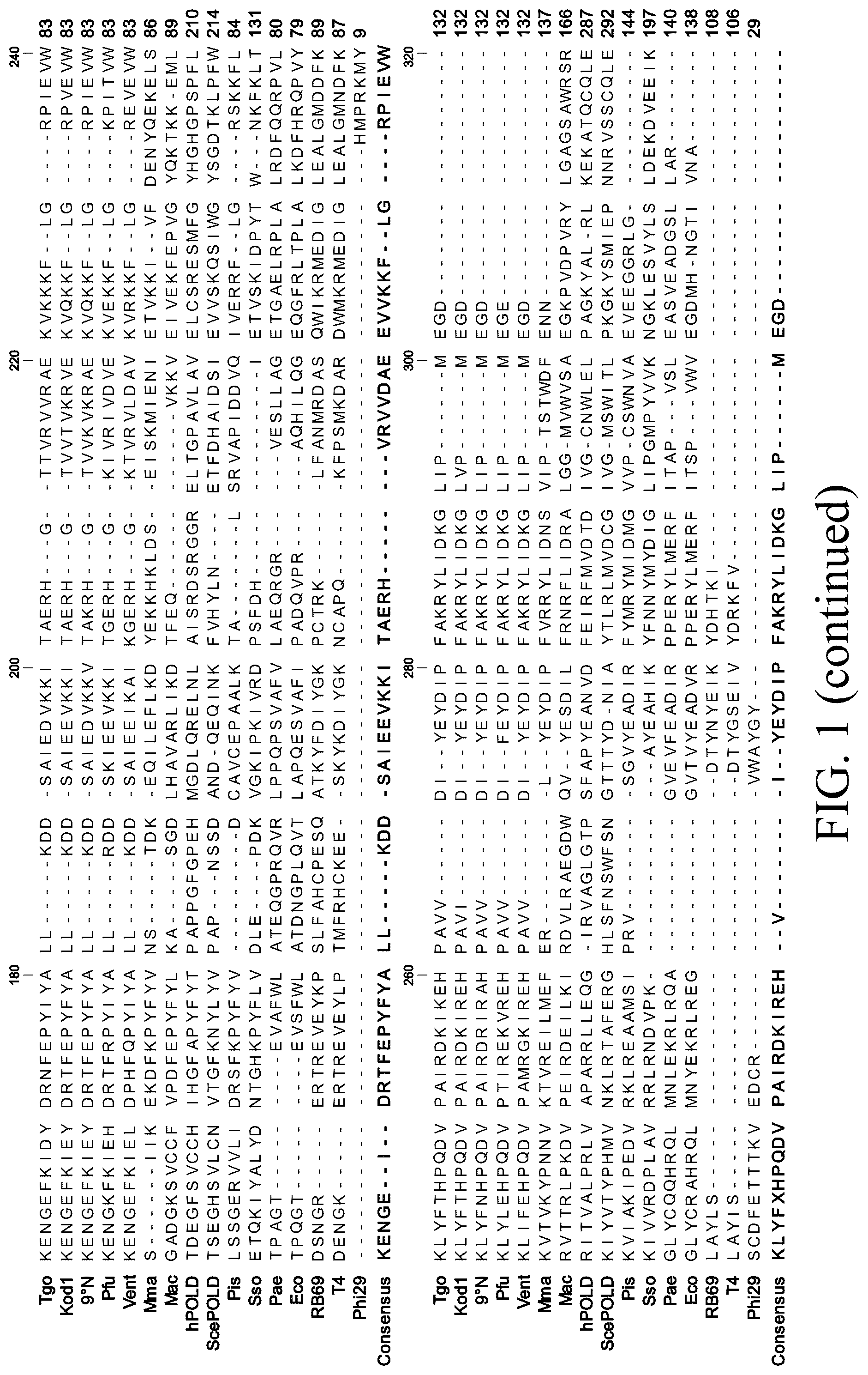 Patent US12098396 Figure 2 – Polymerase variants for template-independent enzymatic nucleic acids synthesis and kit comprising the same