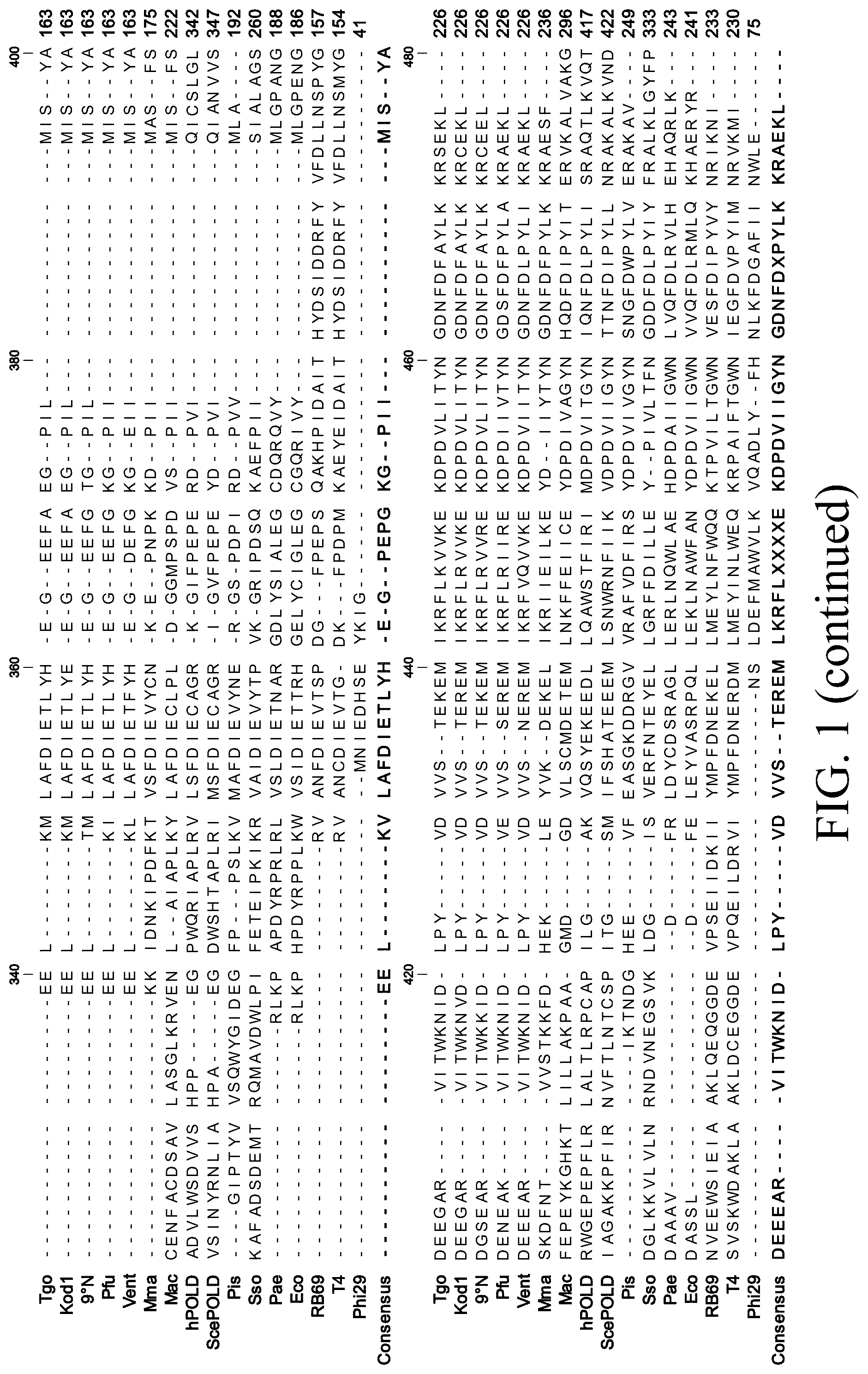 Patent US12098396 Figure 3 – Polymerase variants for template-independent enzymatic nucleic acids synthesis and kit comprising the same