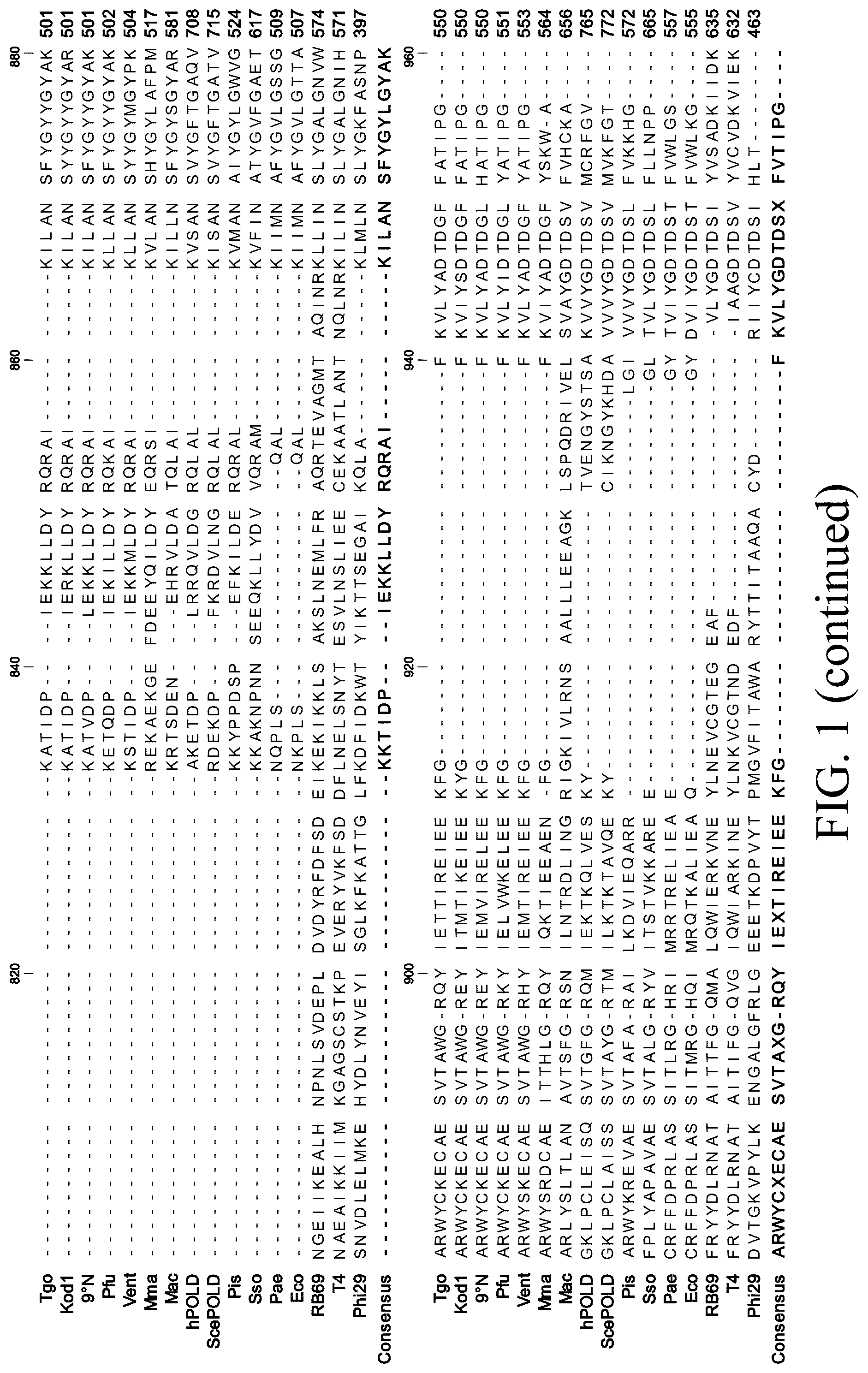 Patent US12098396 Figure 6 – Polymerase variants for template-independent enzymatic nucleic acids synthesis and kit comprising the same