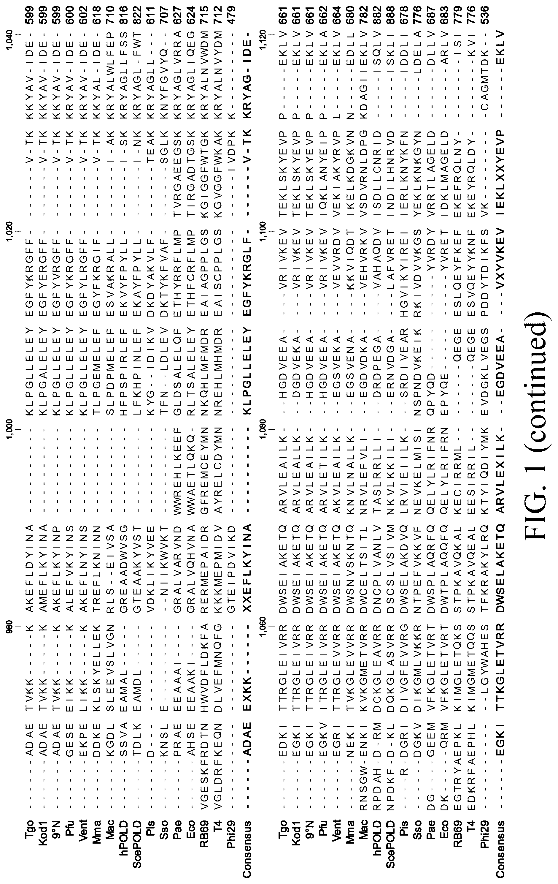 Patent US12098396 Figure 7 – Polymerase variants for template-independent enzymatic nucleic acids synthesis and kit comprising the same