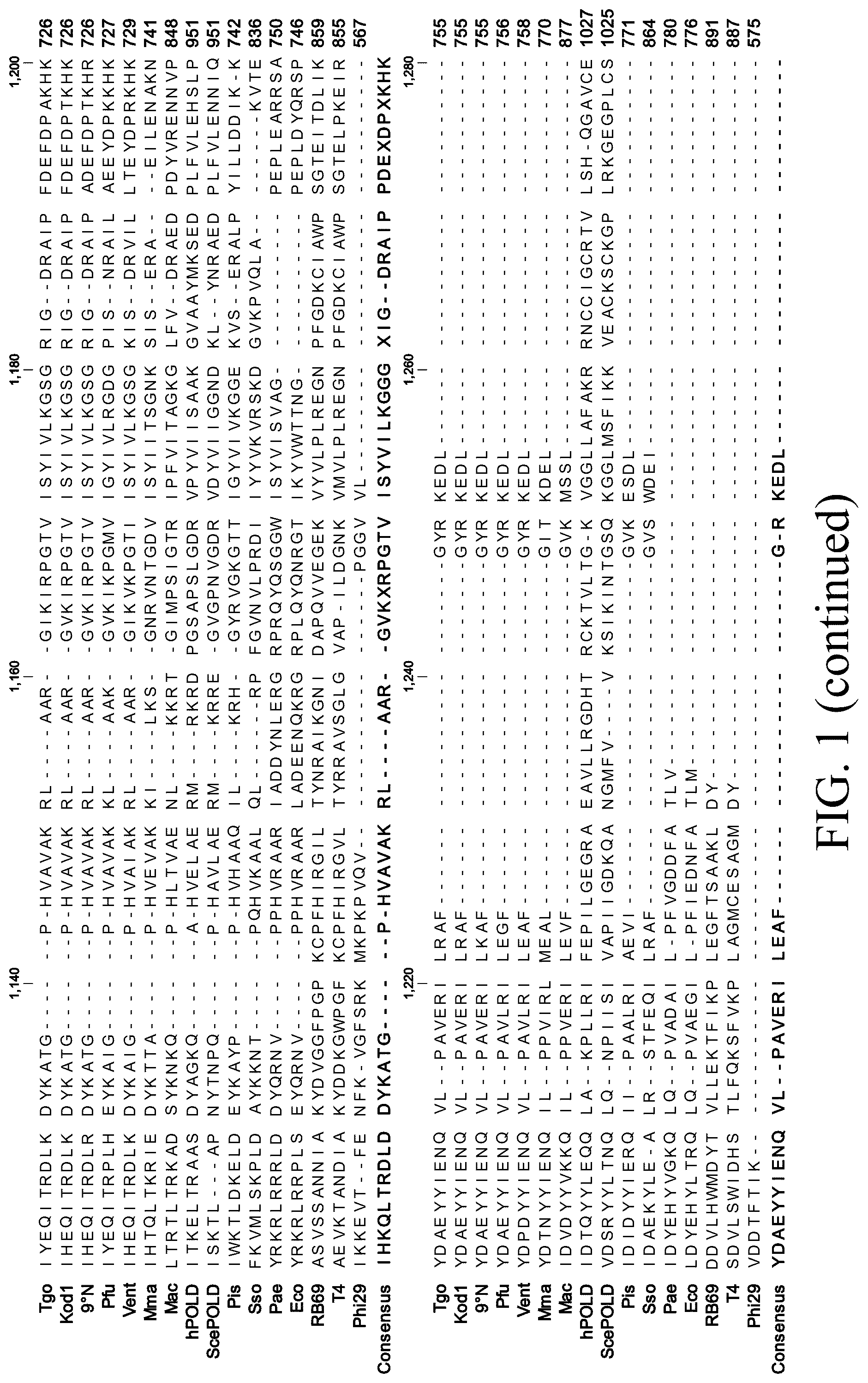 Patent US12098396 Figure 8 – Polymerase variants for template-independent enzymatic nucleic acids synthesis and kit comprising the same