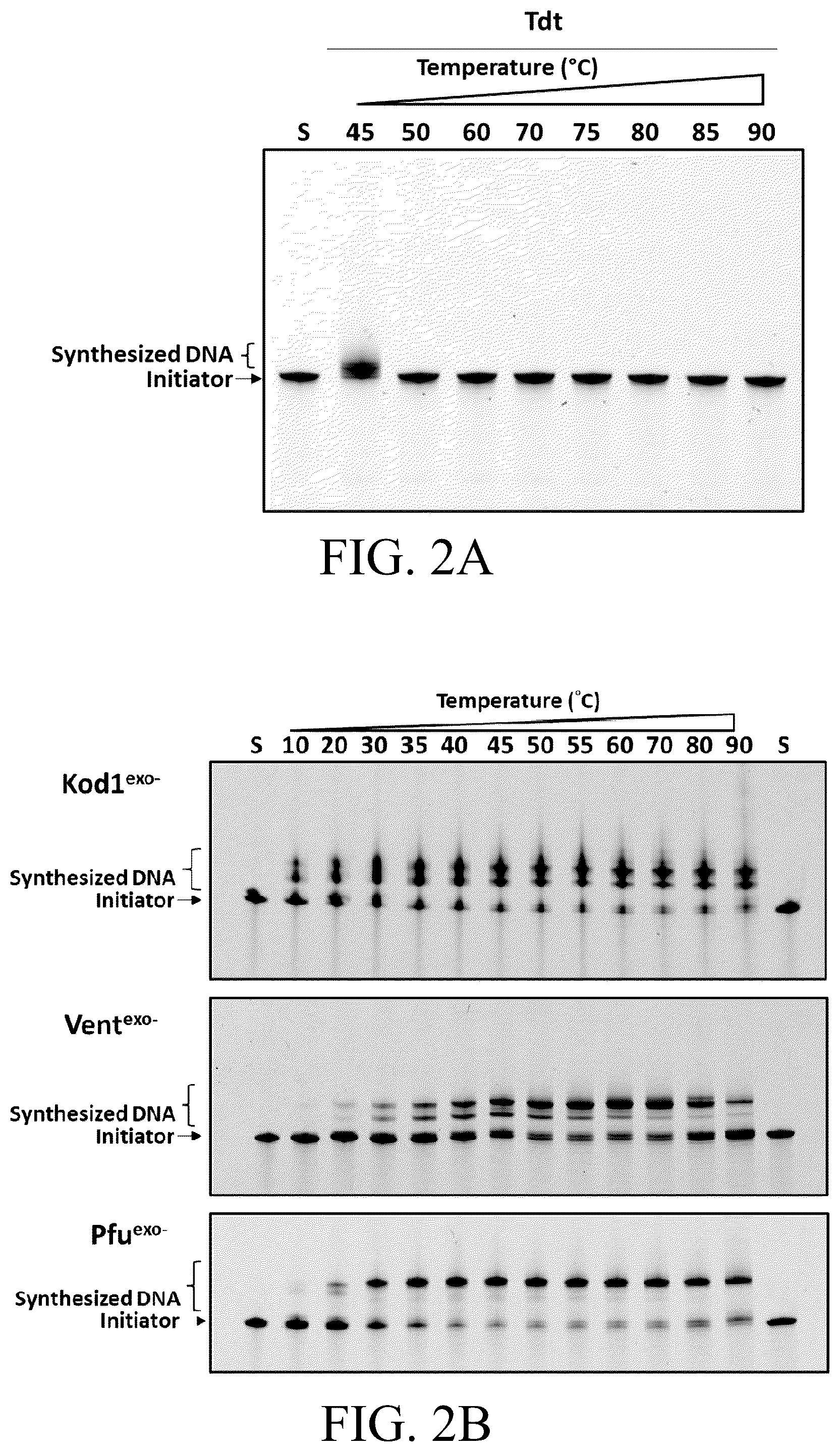Patent US12098396 Figure 10 – Polymerase variants for template-independent enzymatic nucleic acids synthesis and kit comprising the same